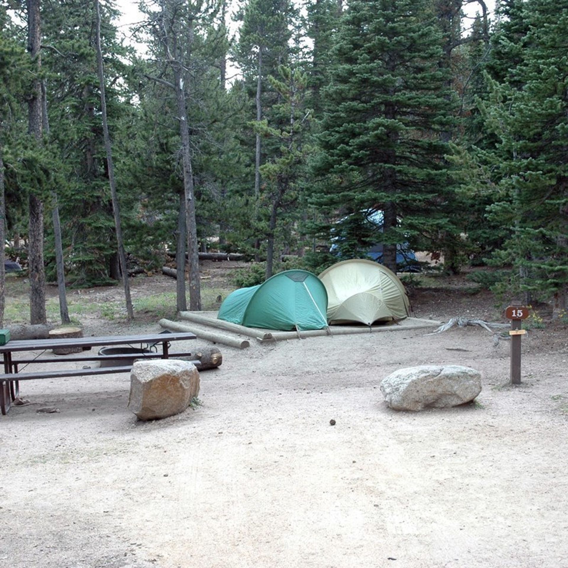 Photo of two tents pitched on a platform at the Longs Peak Campground.