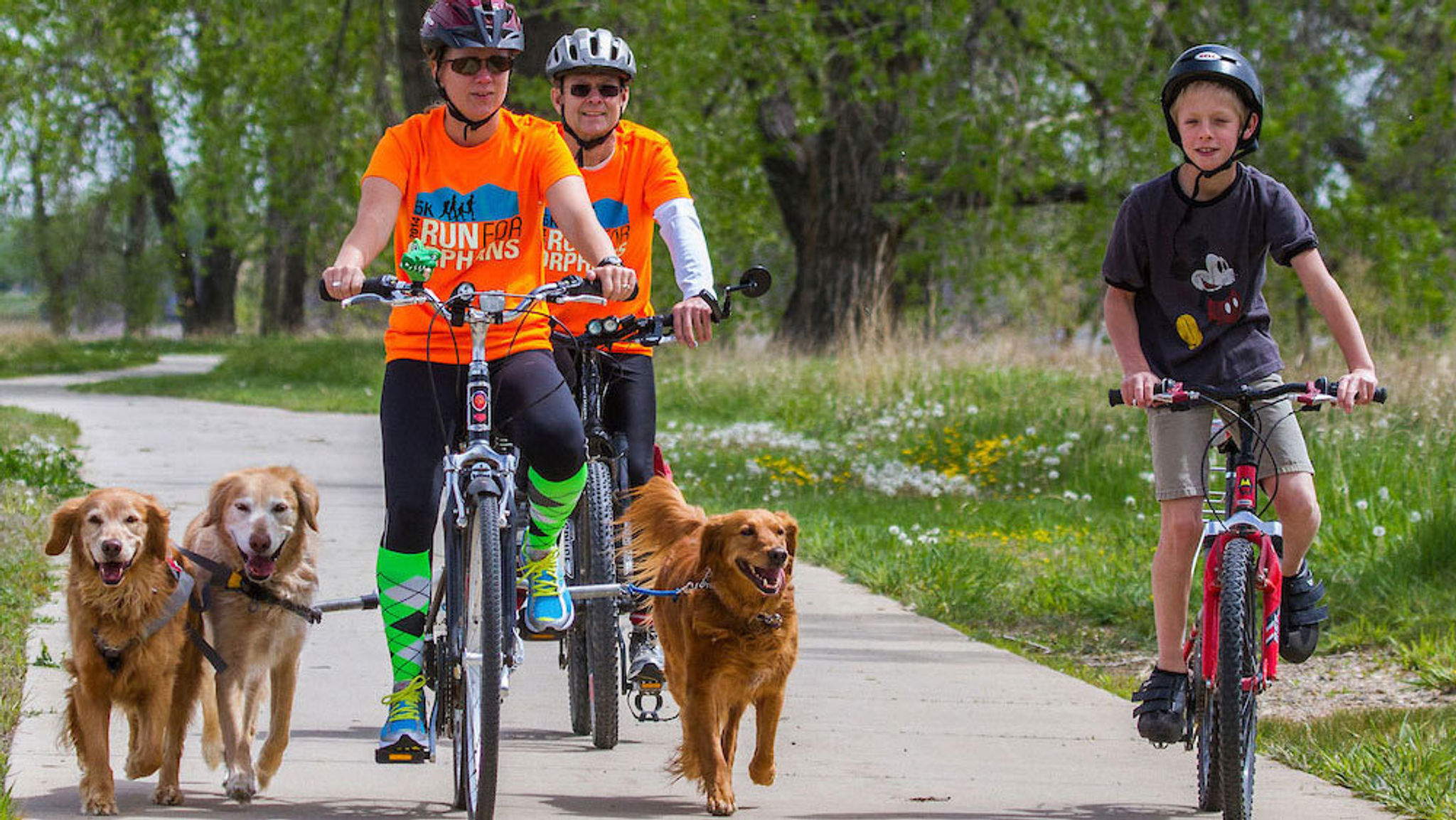 A family biking with their dogs on the paved bike path at Boyd Lake State Park.