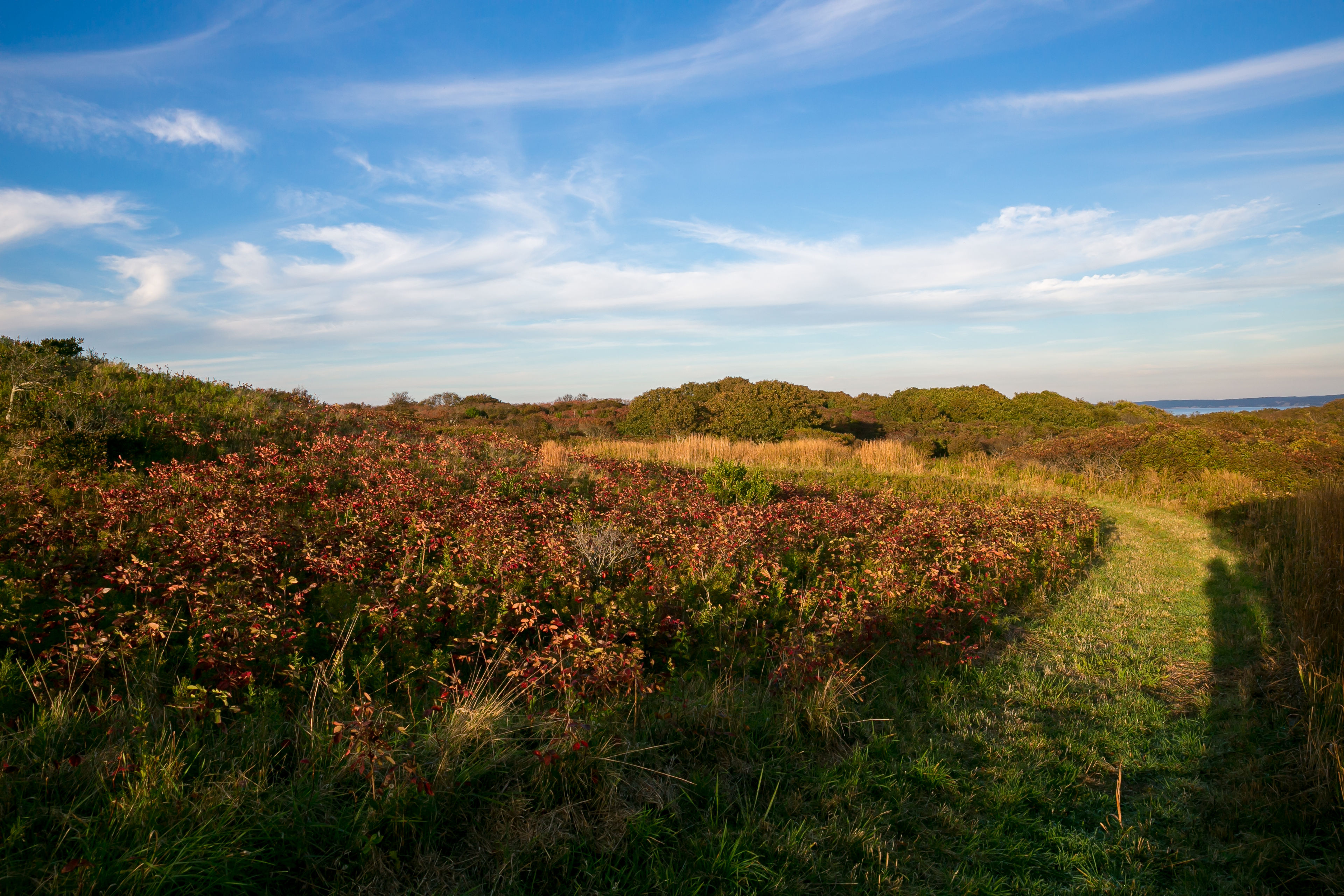 along the North Head trail