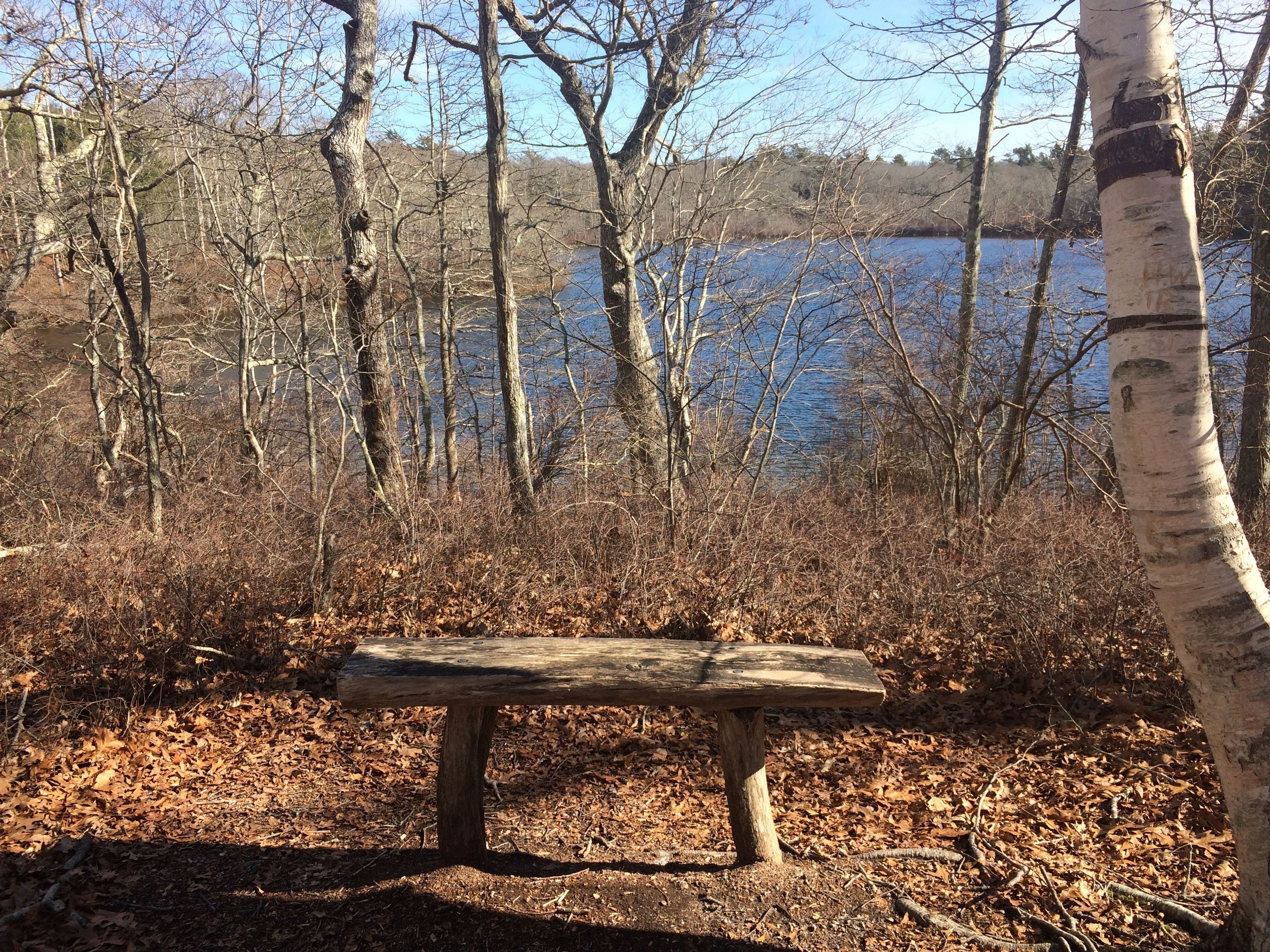 Winter view of Ice House Pond 