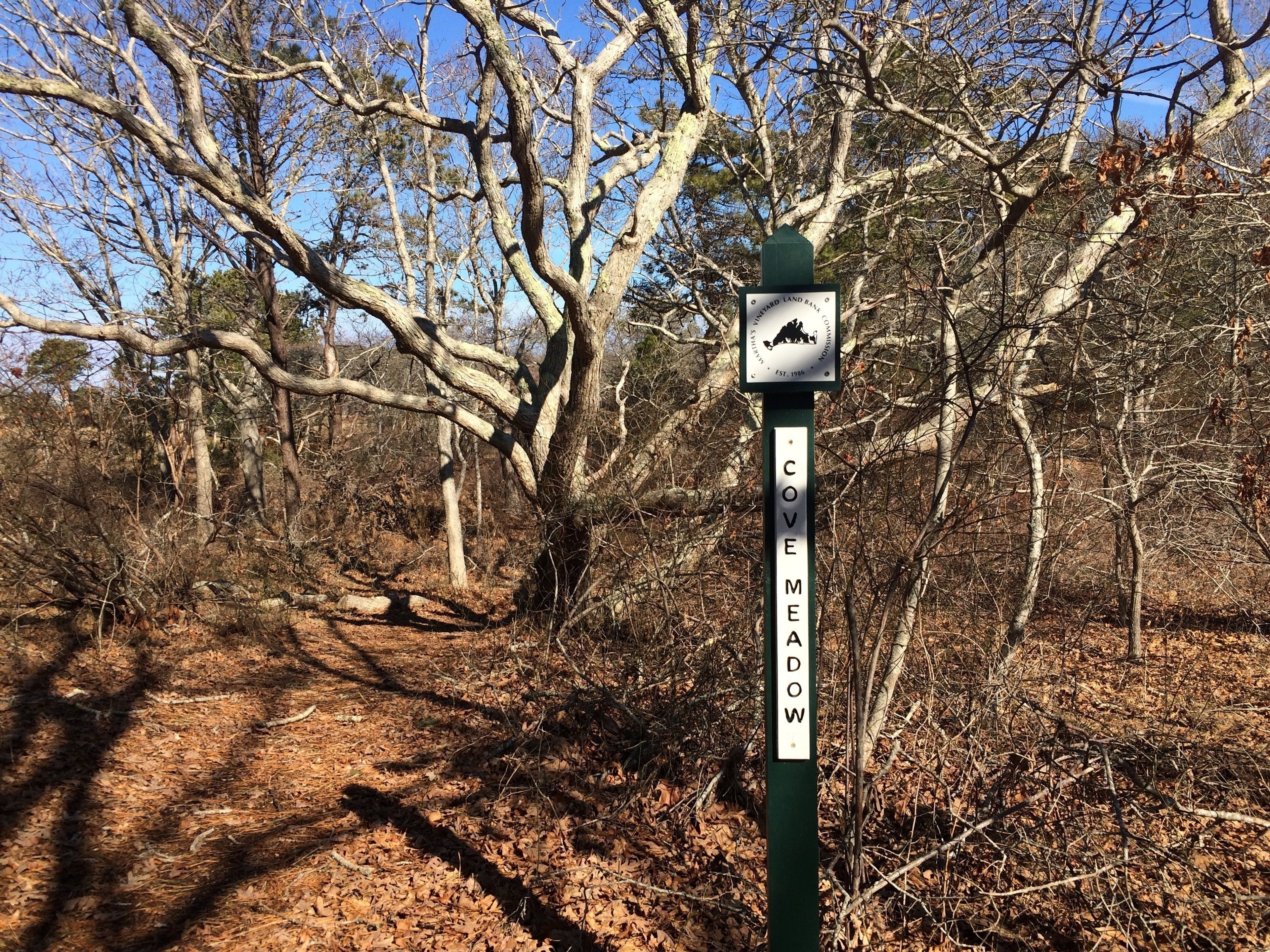 heading towards Cove Meadow pond