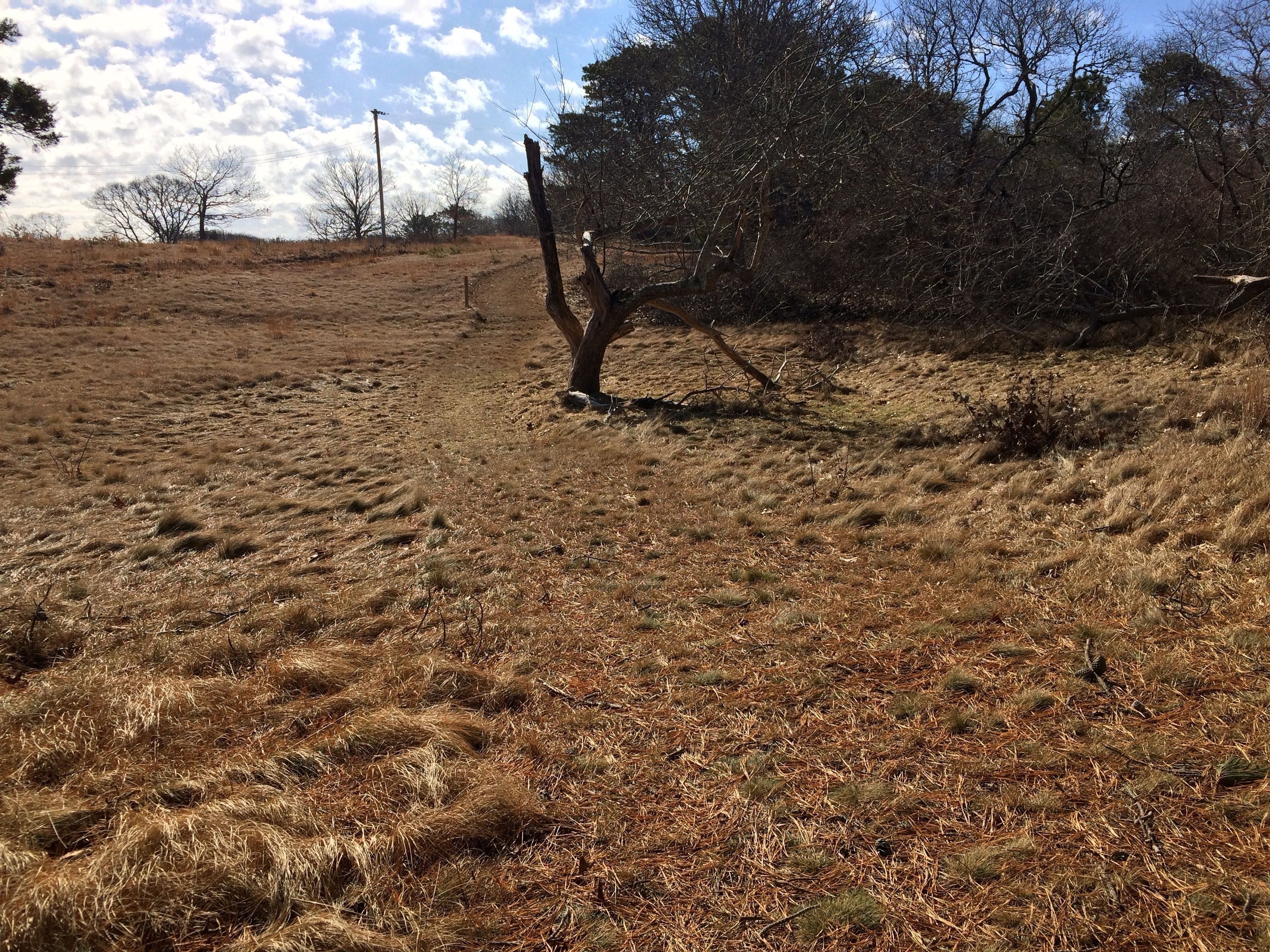 early spring at intersection with CMP-4