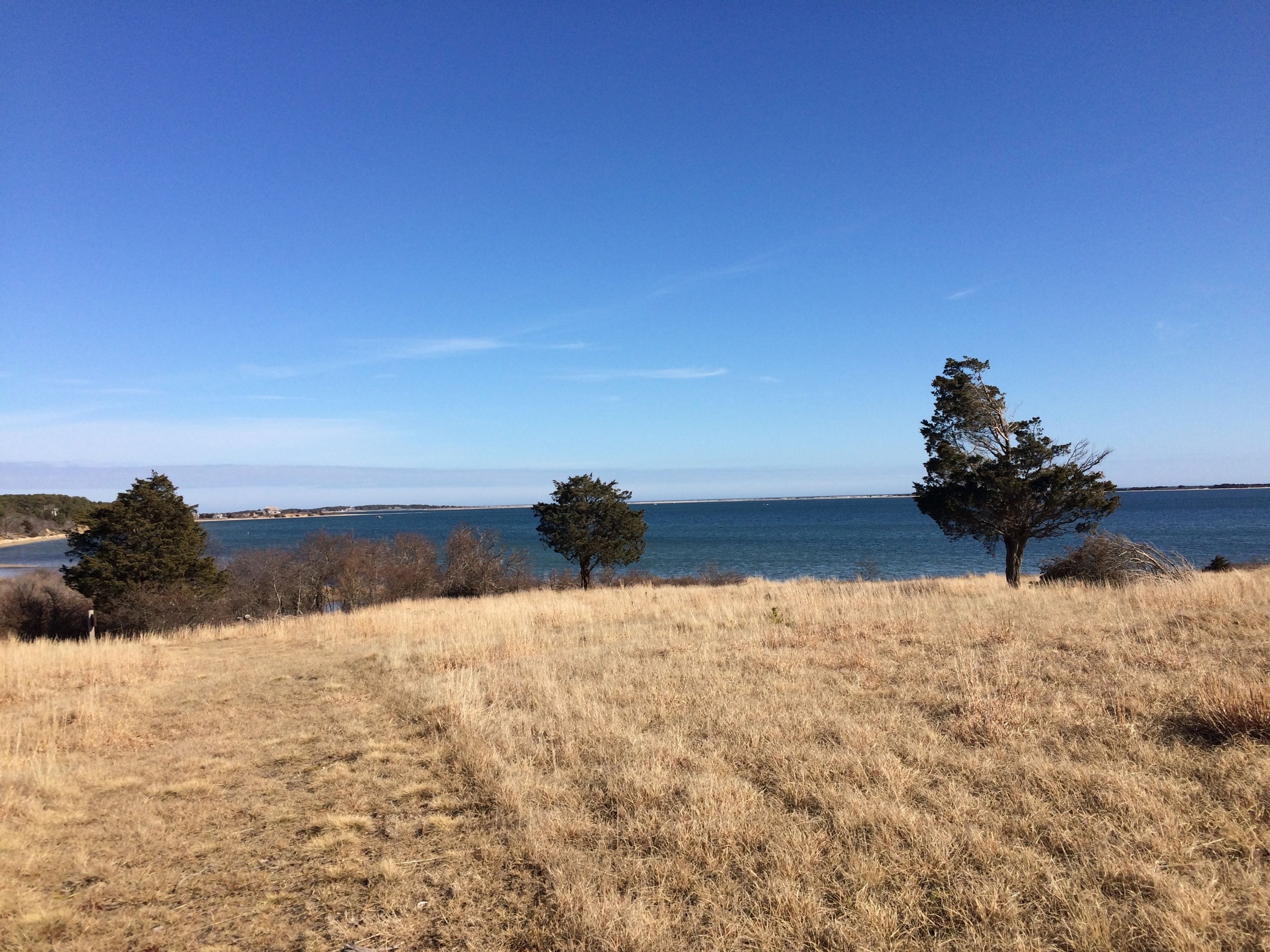 early spring view of Cape Poge Bay