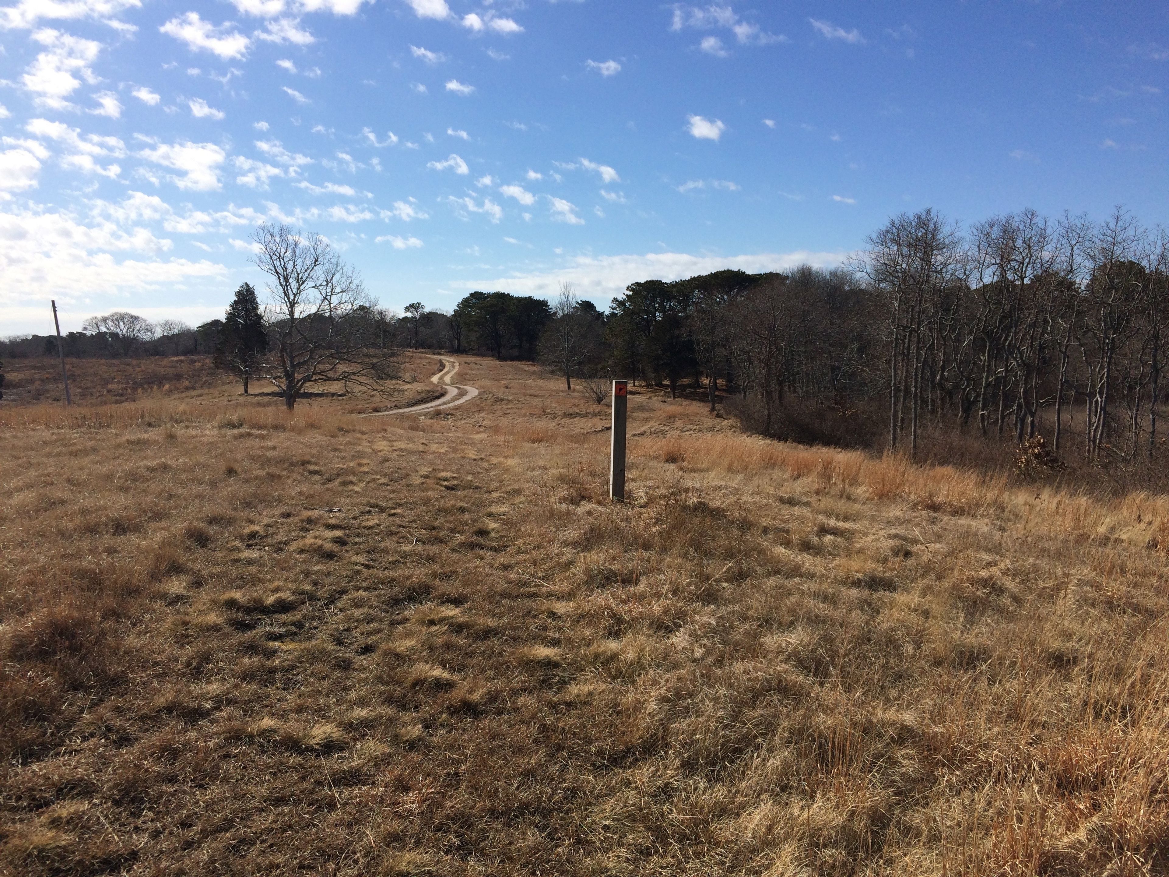 from Cross Chappy trail, headed towards Cove Meadow Lane