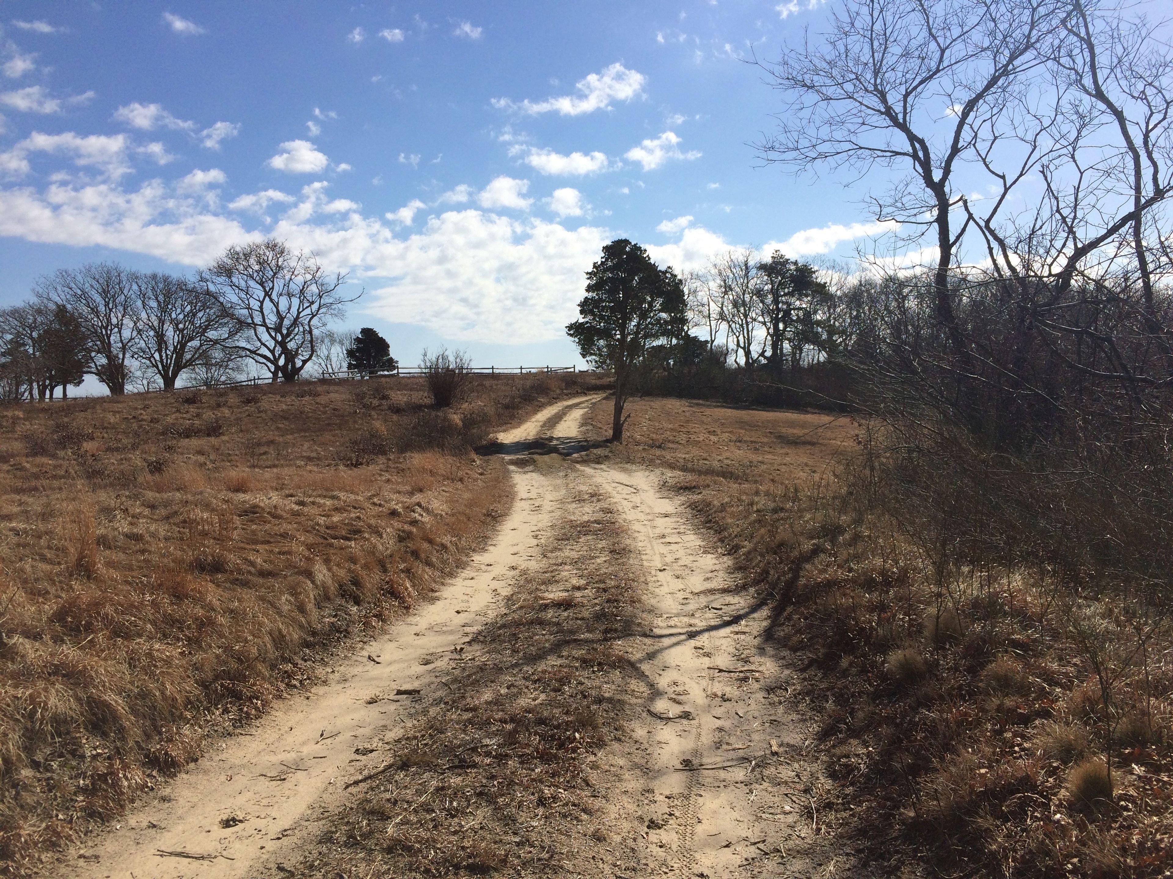 Cove Meadow Lane between CMP-7 and trailhead