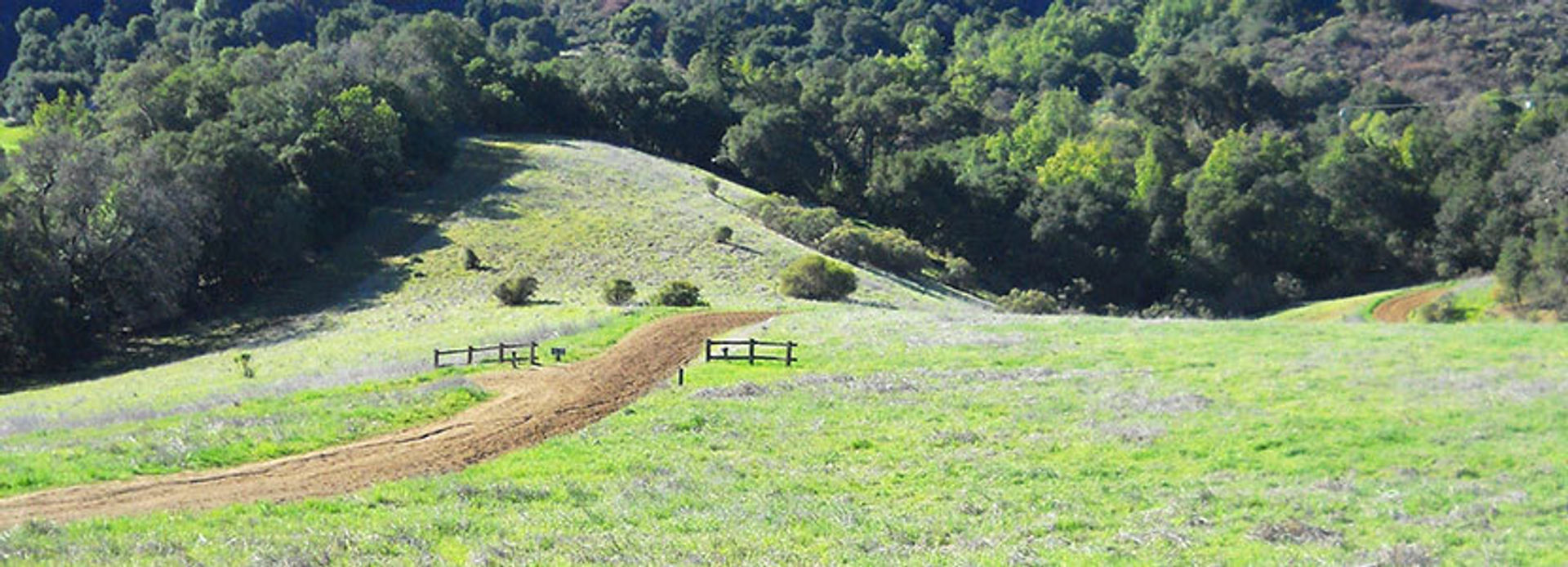 early spring in the preserve