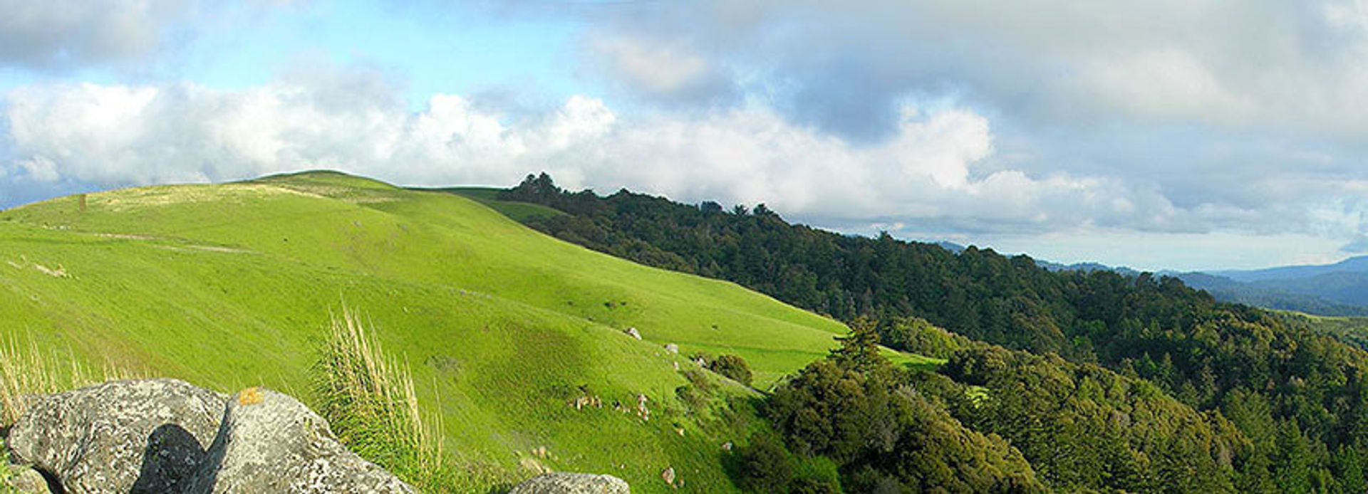 Russian Ridge view