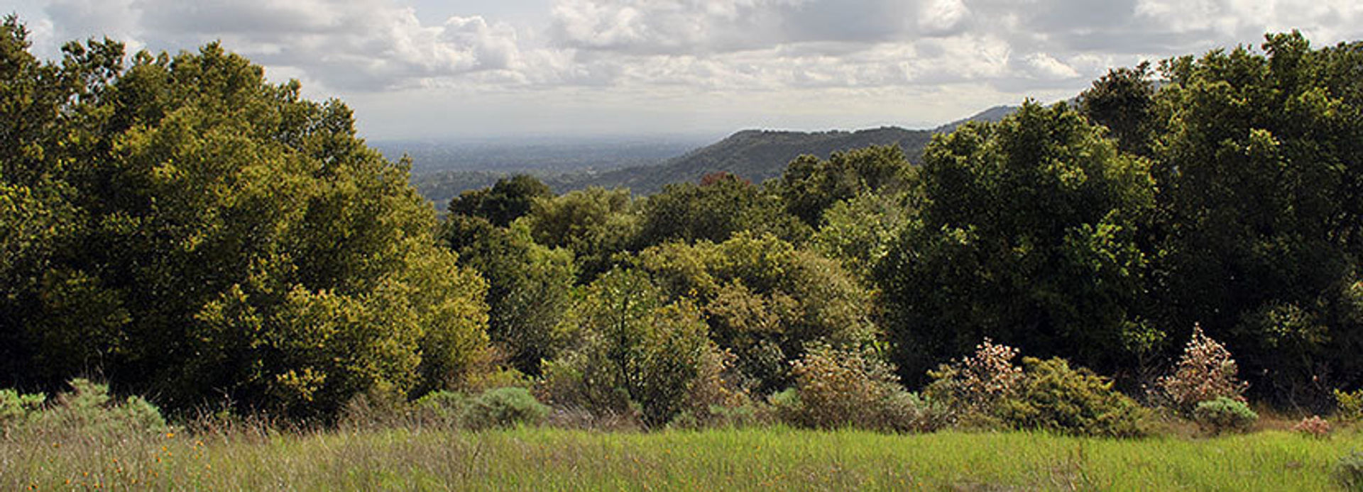 view from Foothills Open Space Preserve