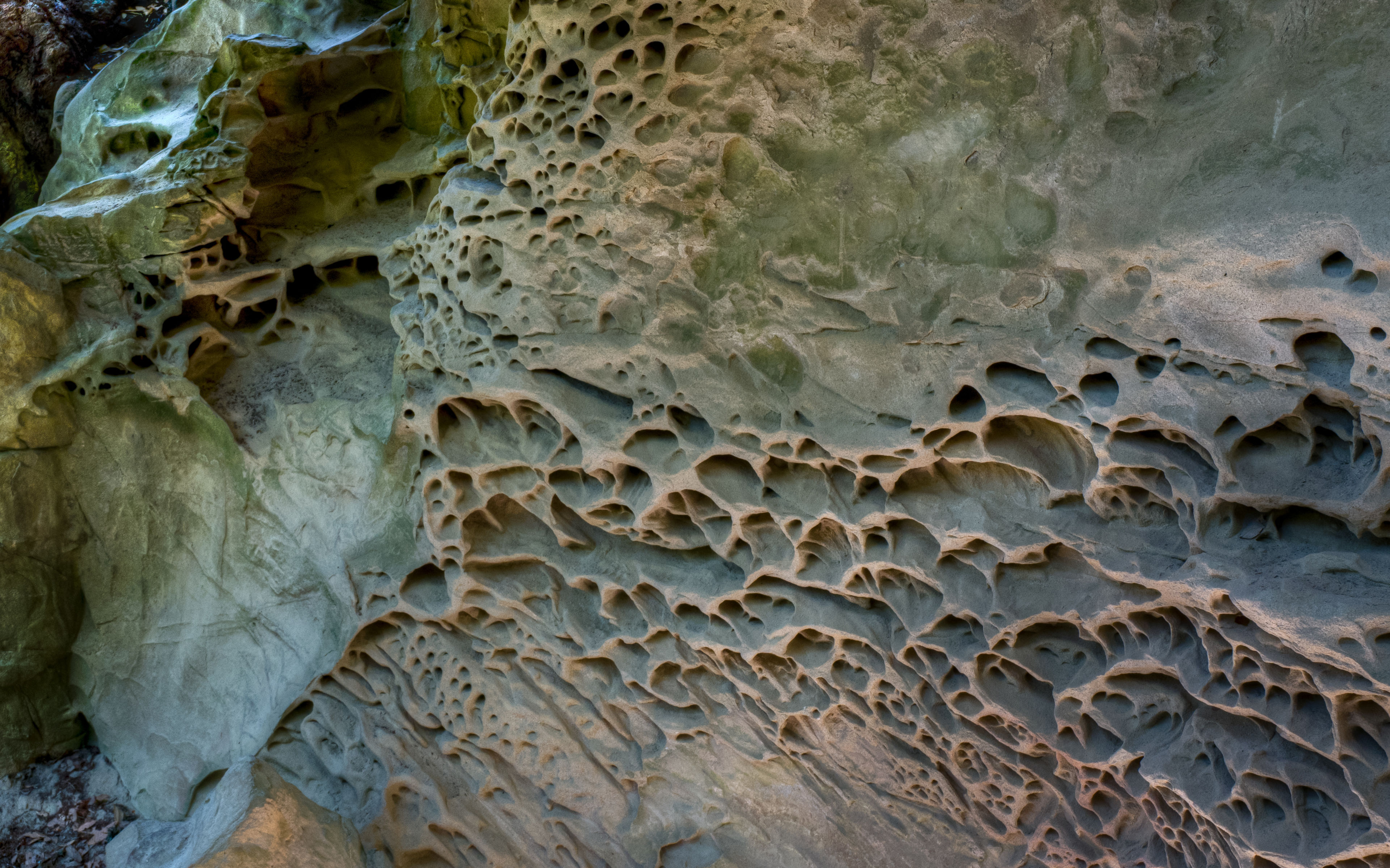 Tafoni Sandstone Formation, El Corte de Madera Creek Preserve