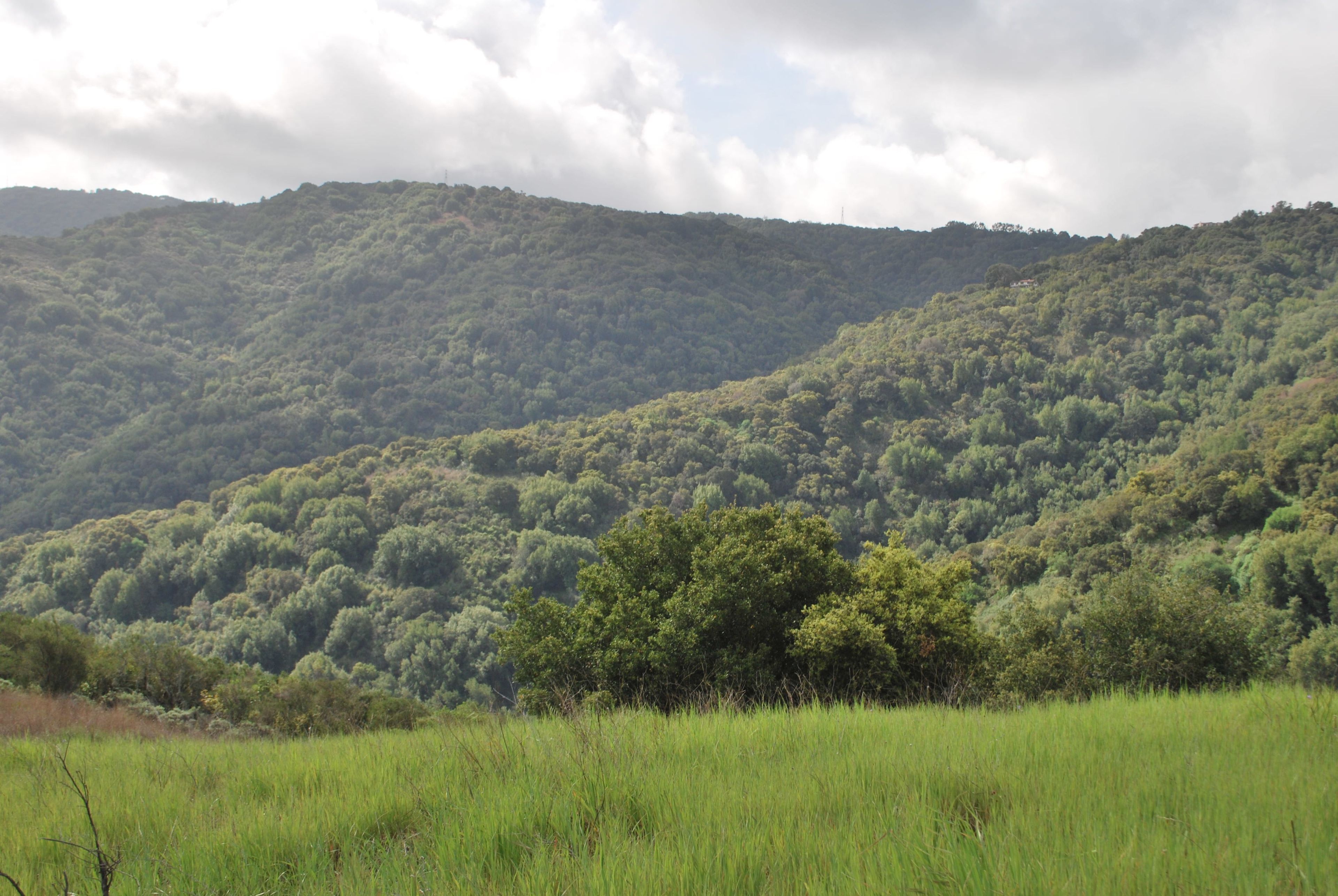 Mountain View from Foothills Preserve Vista