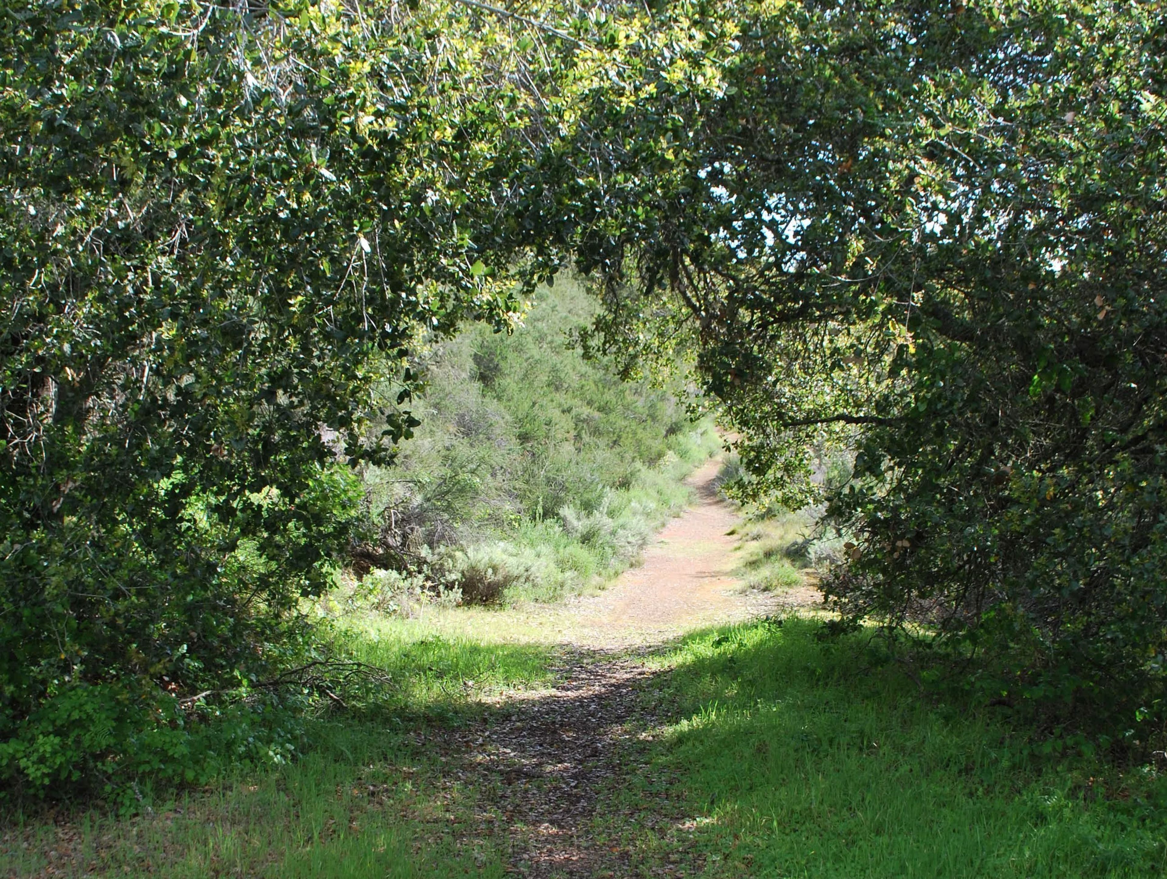 Trail to Vista at Foothills Preserve