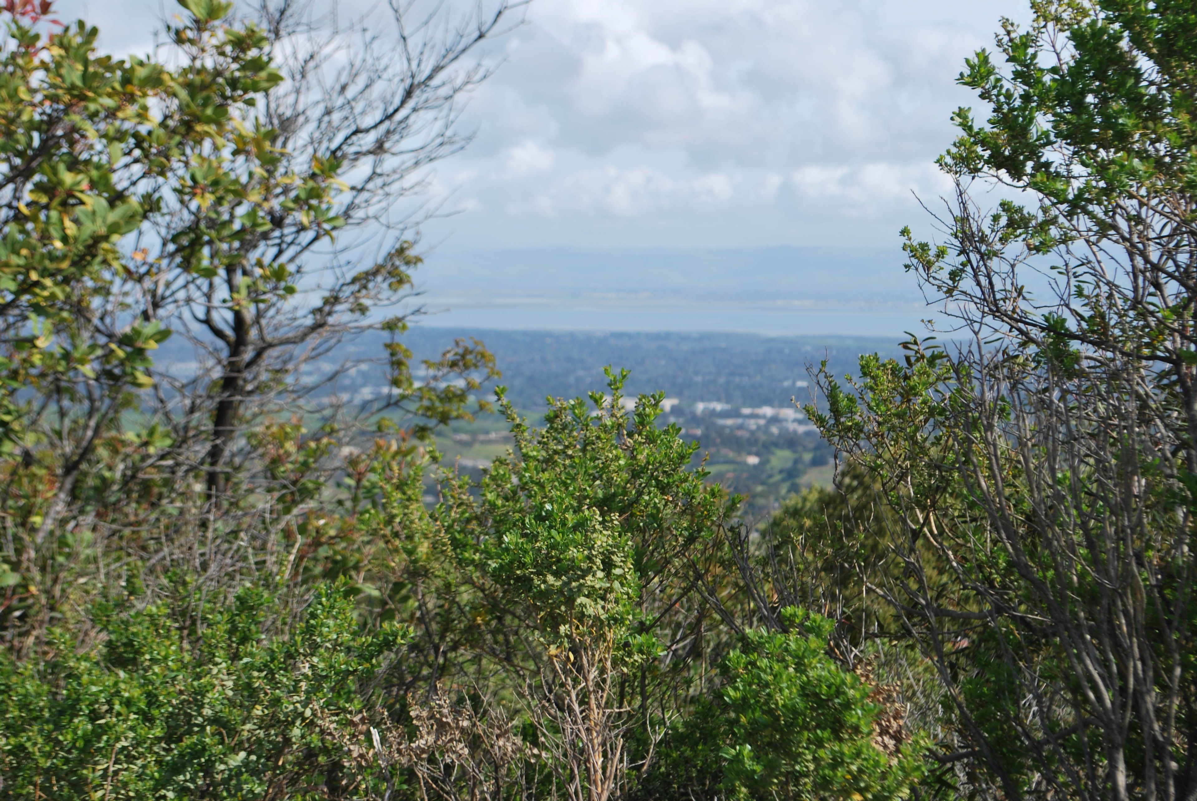 Valley View from Trail to Vista at Foothills Preserve