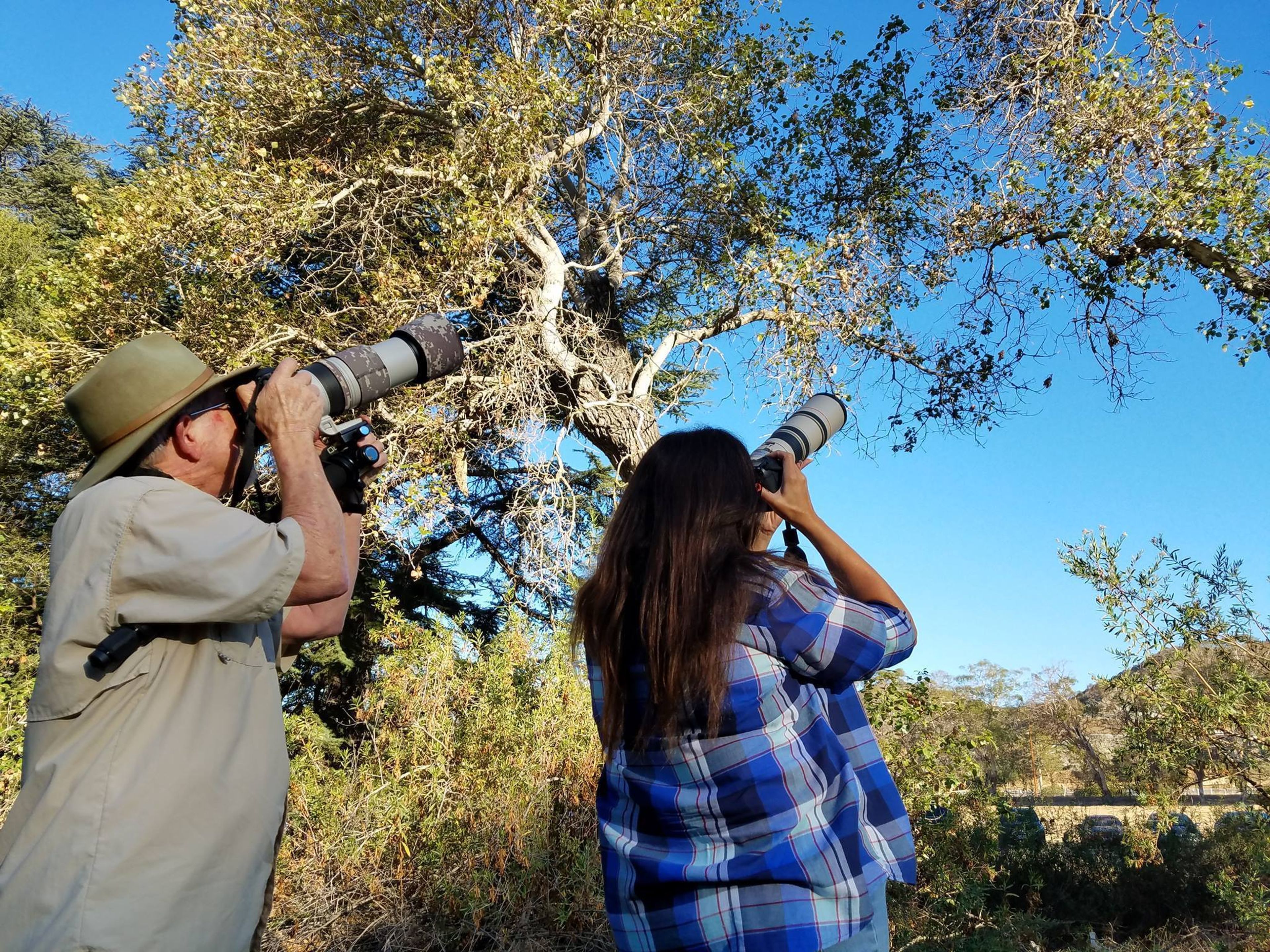 Birders_at_King_Gillette_Ranch.jpg