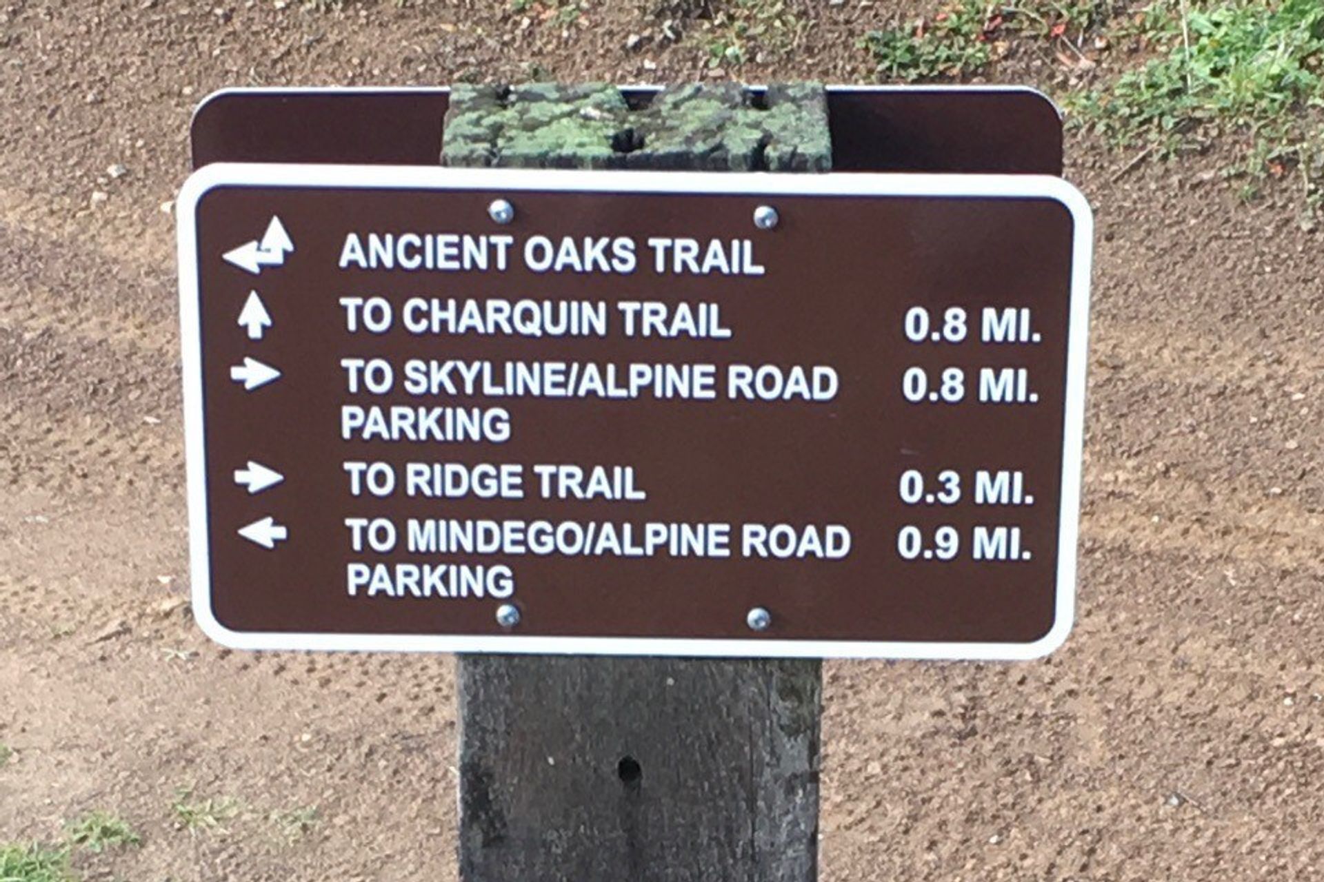 Ancient Oaks Trailhead Directional Sign