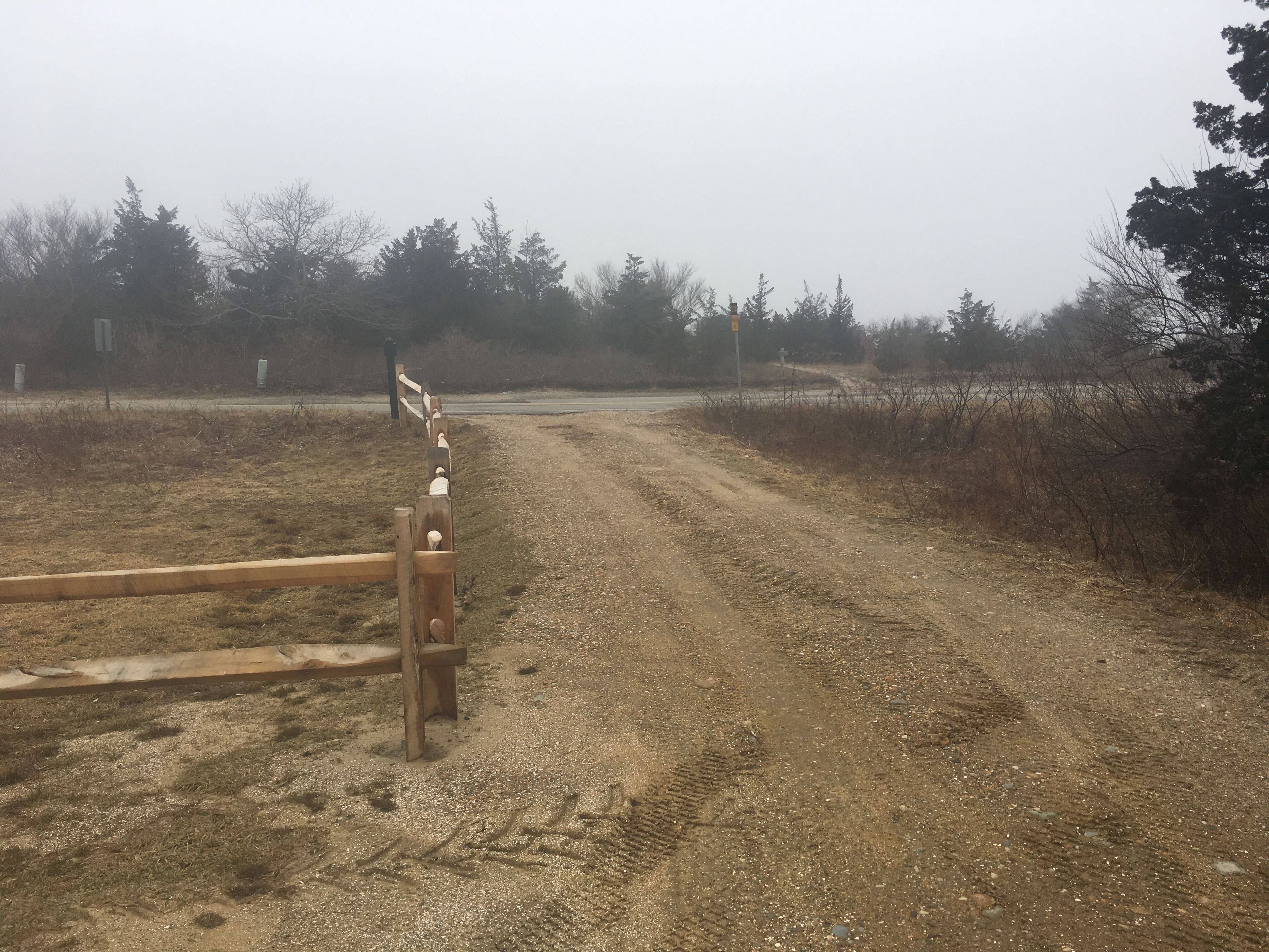 Entry Path- looking towards Chappaquiddick Road