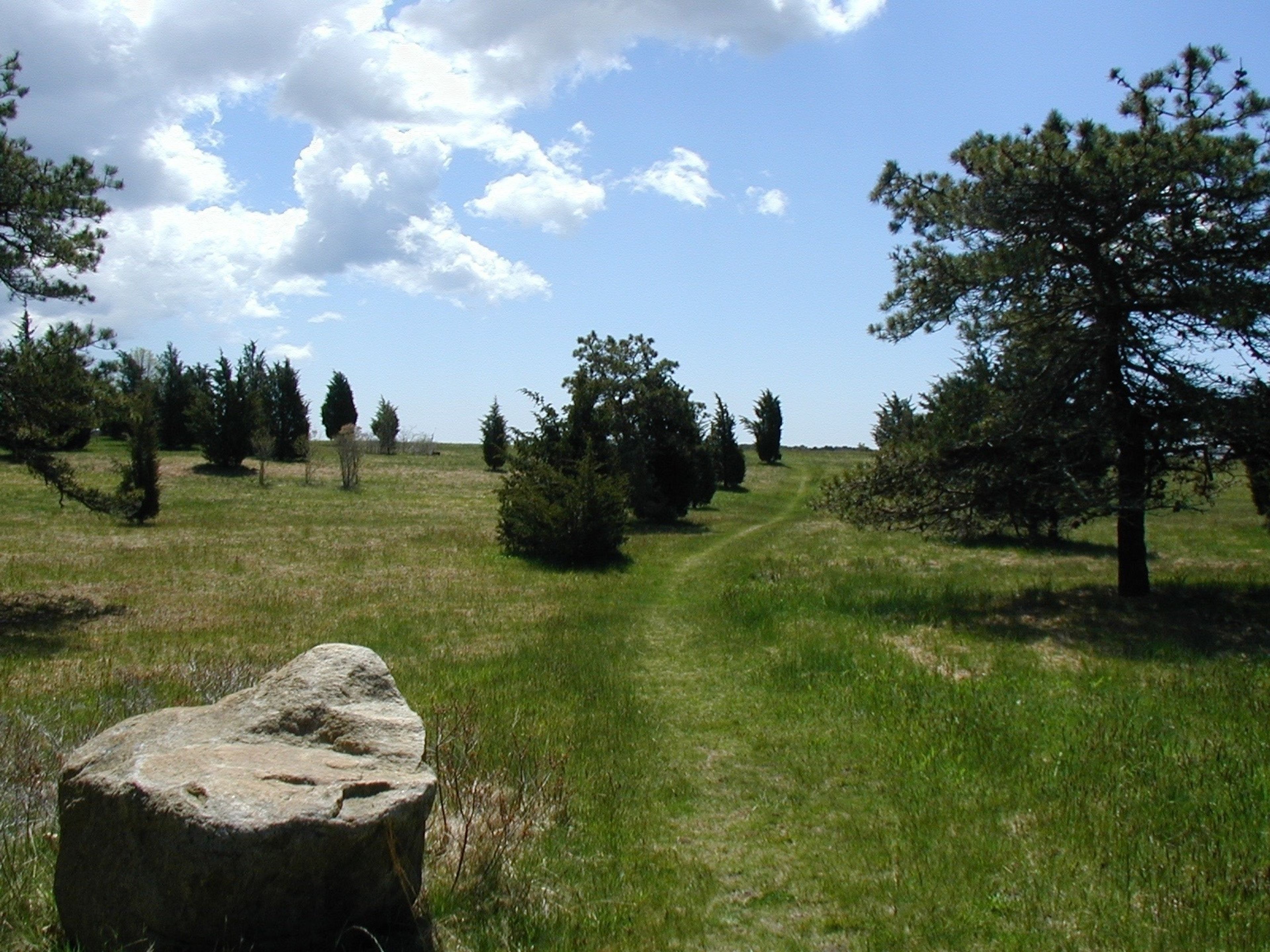 field view