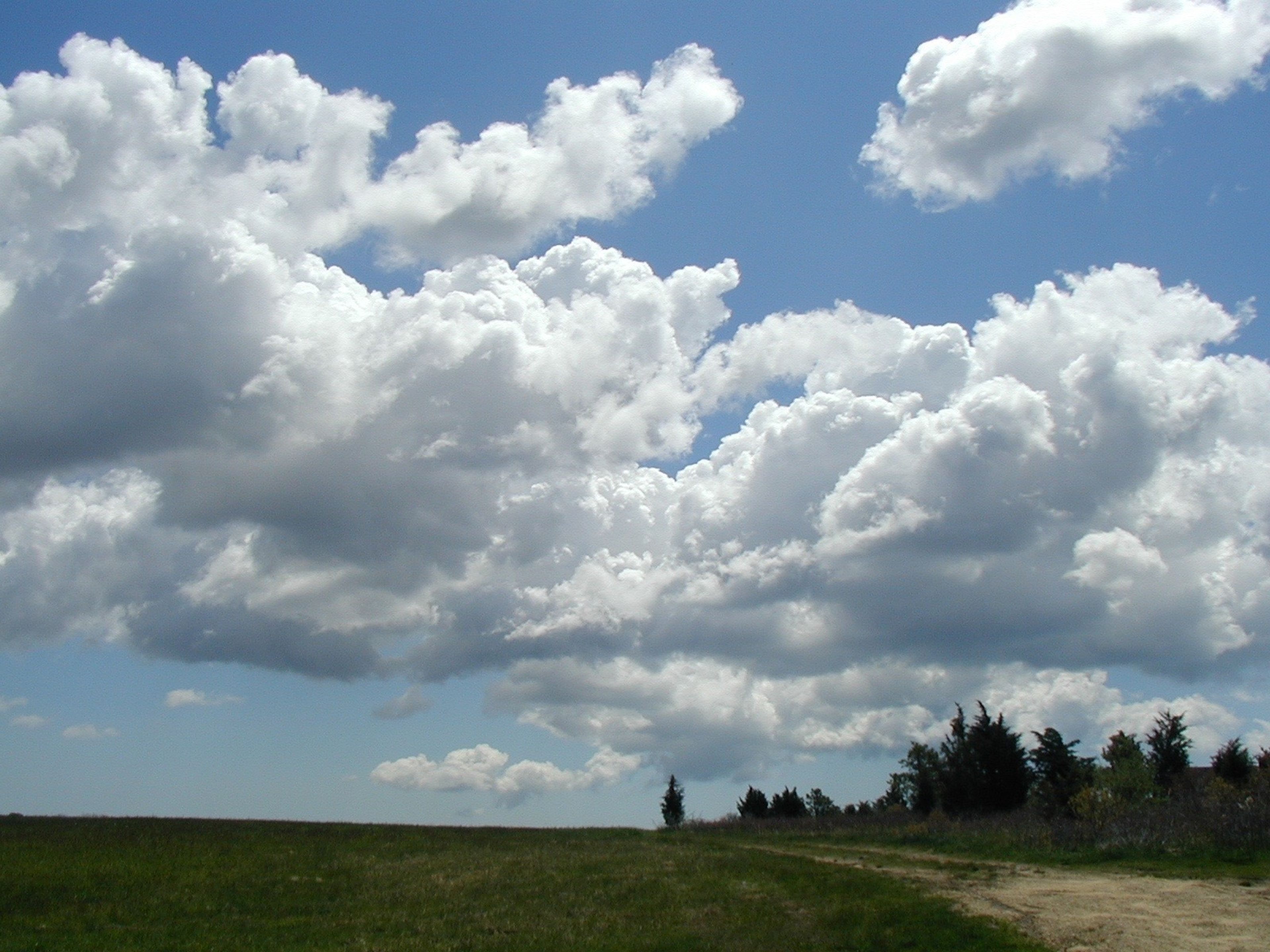 field and sky