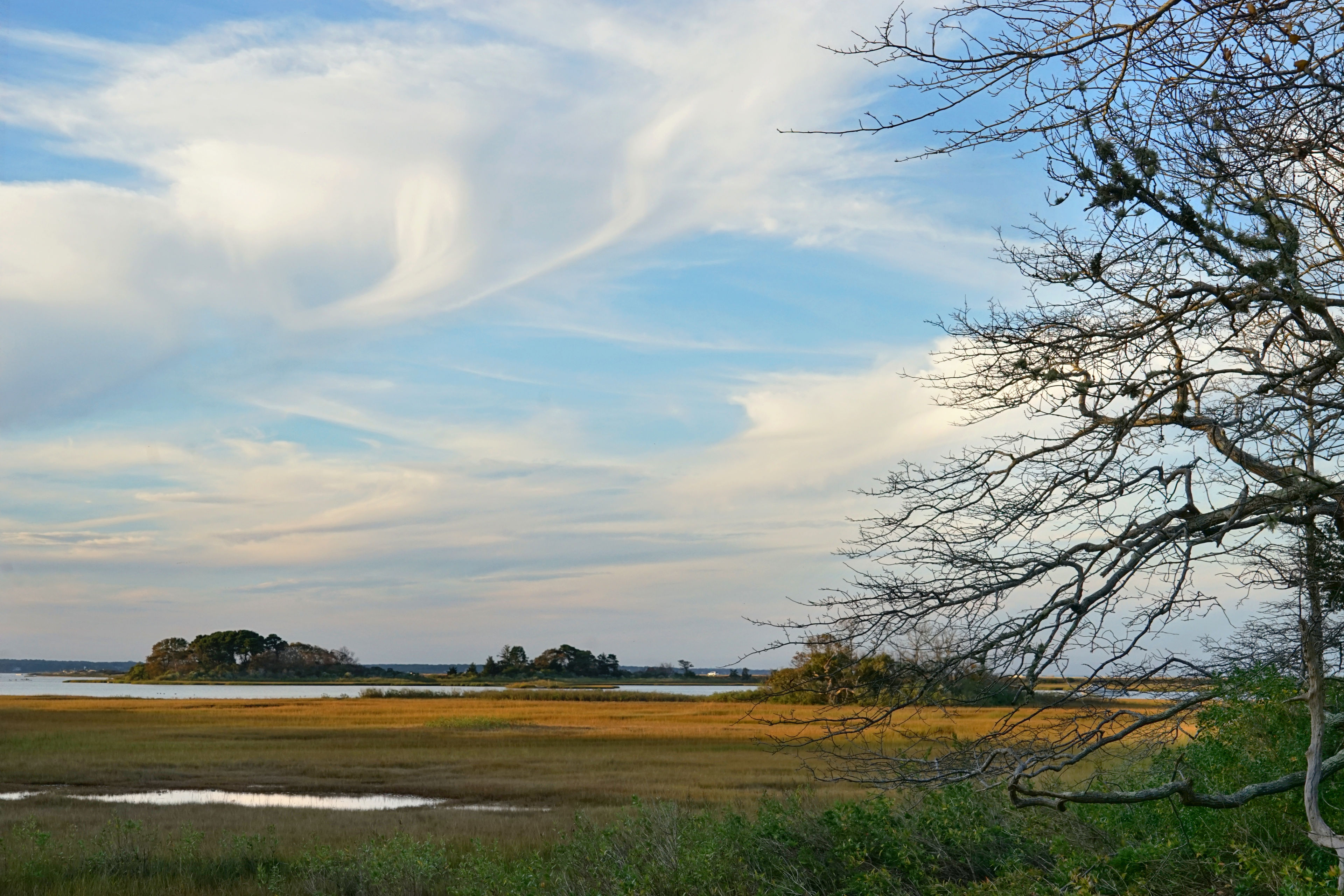 view across marsh