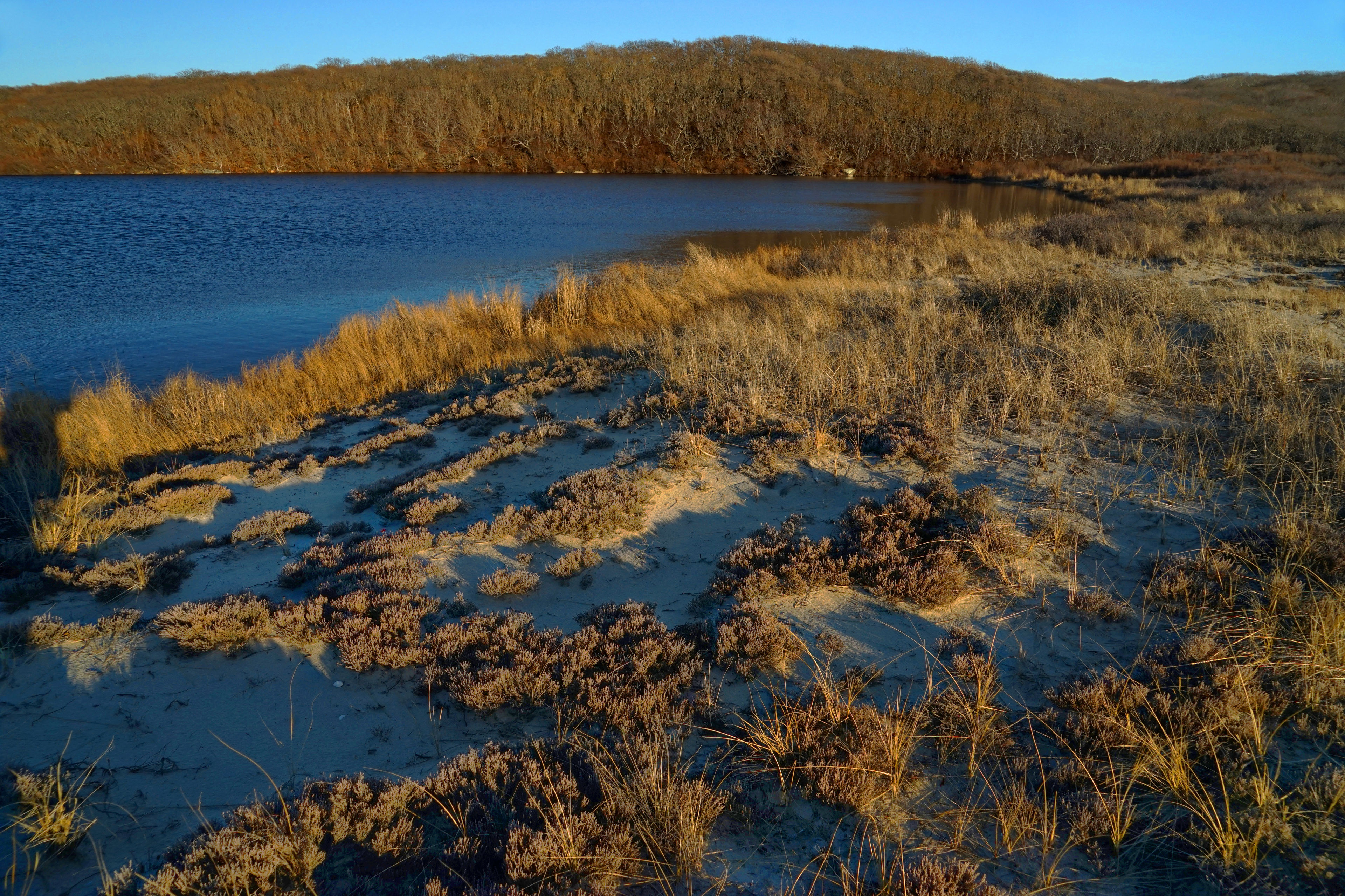 View of Cedar Tree Neck Pond