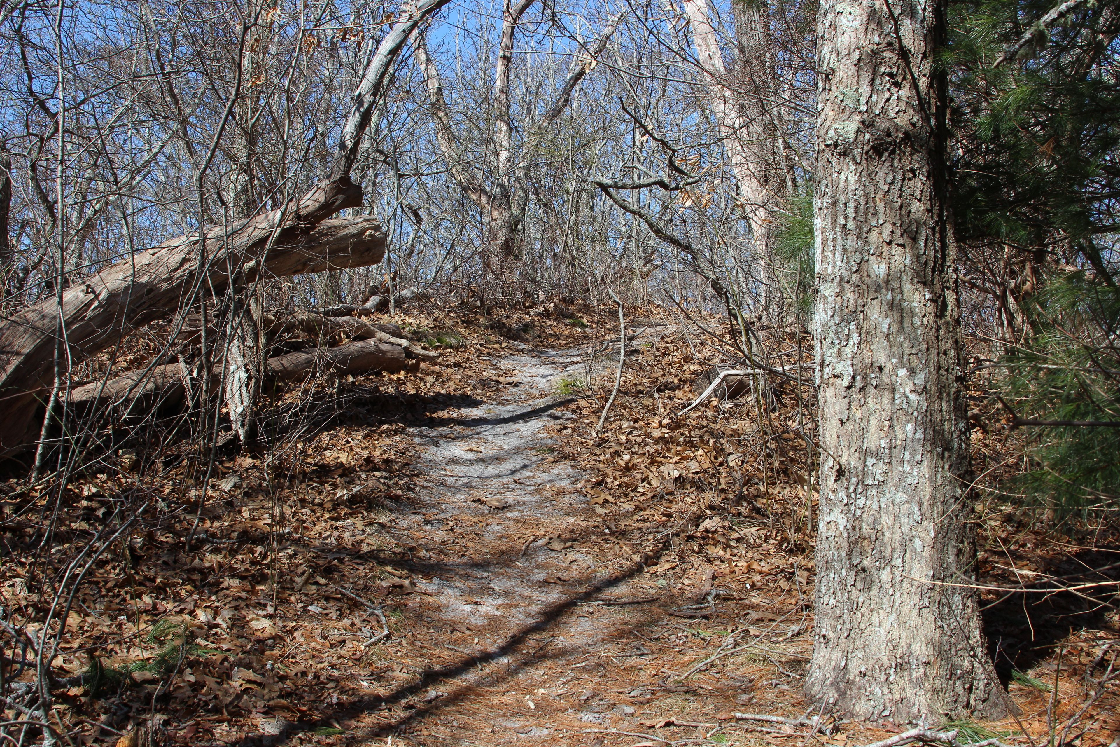 sandy trail