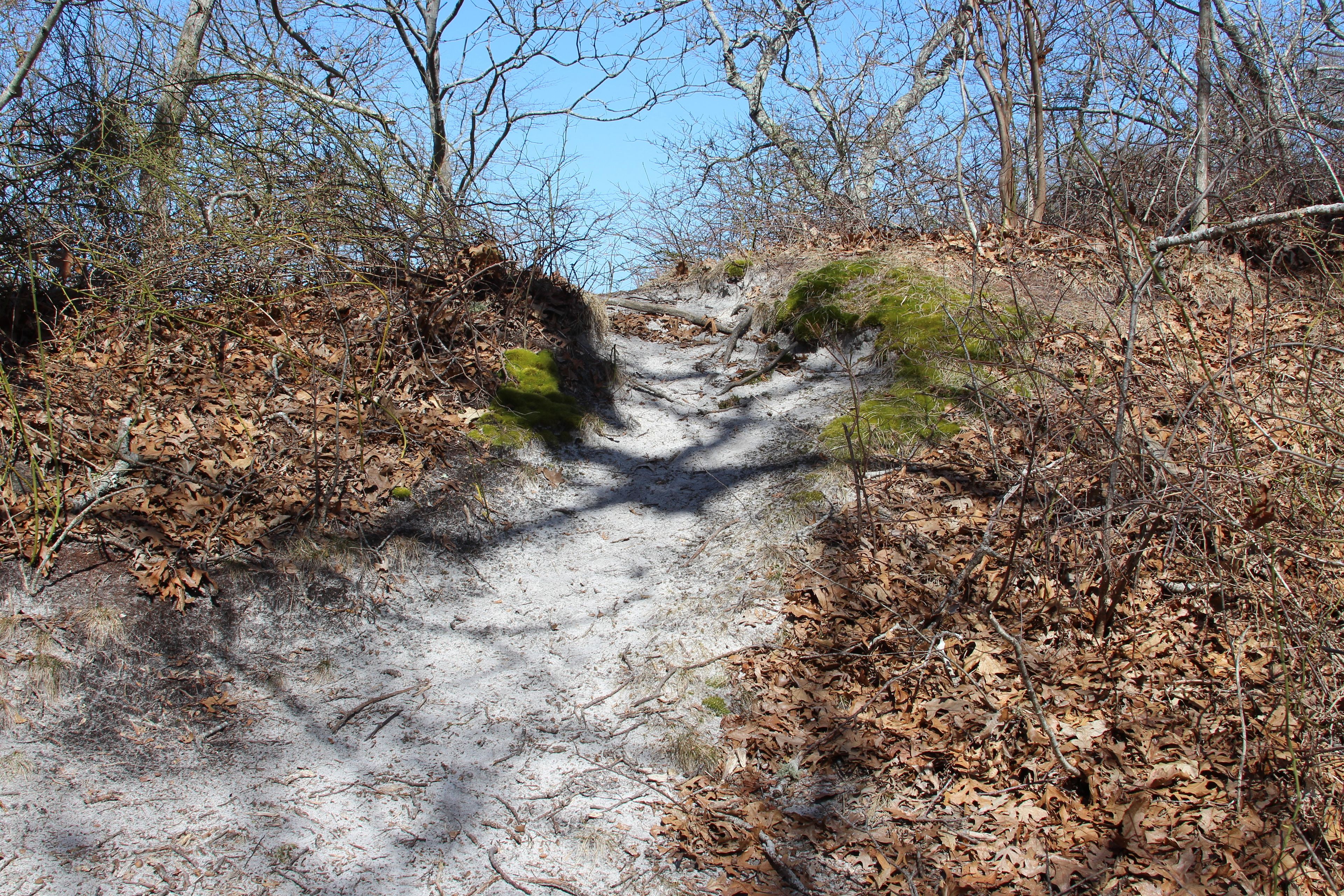 sandy trail