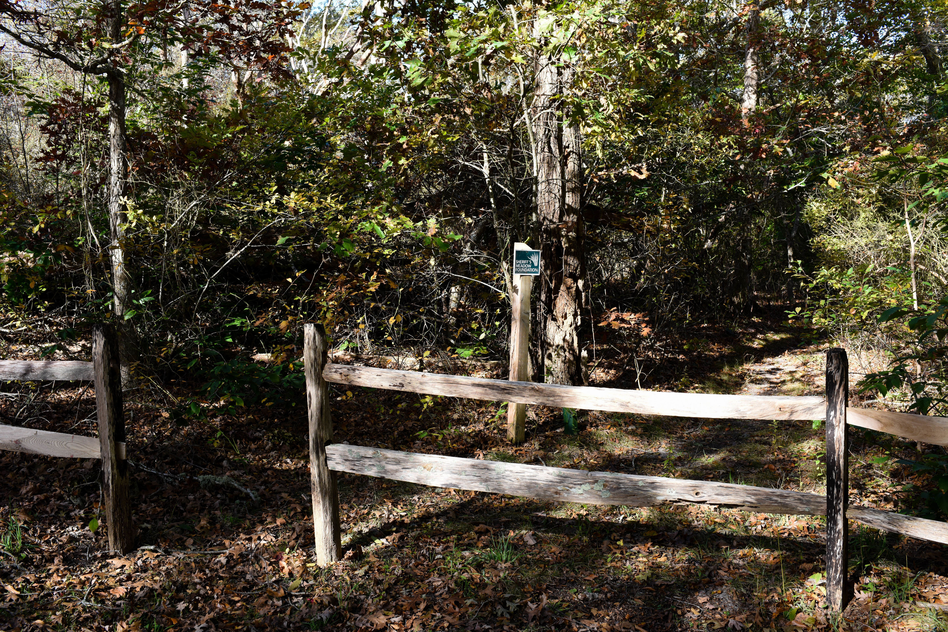 trailhead by Lambert's Cove Beach parking lot