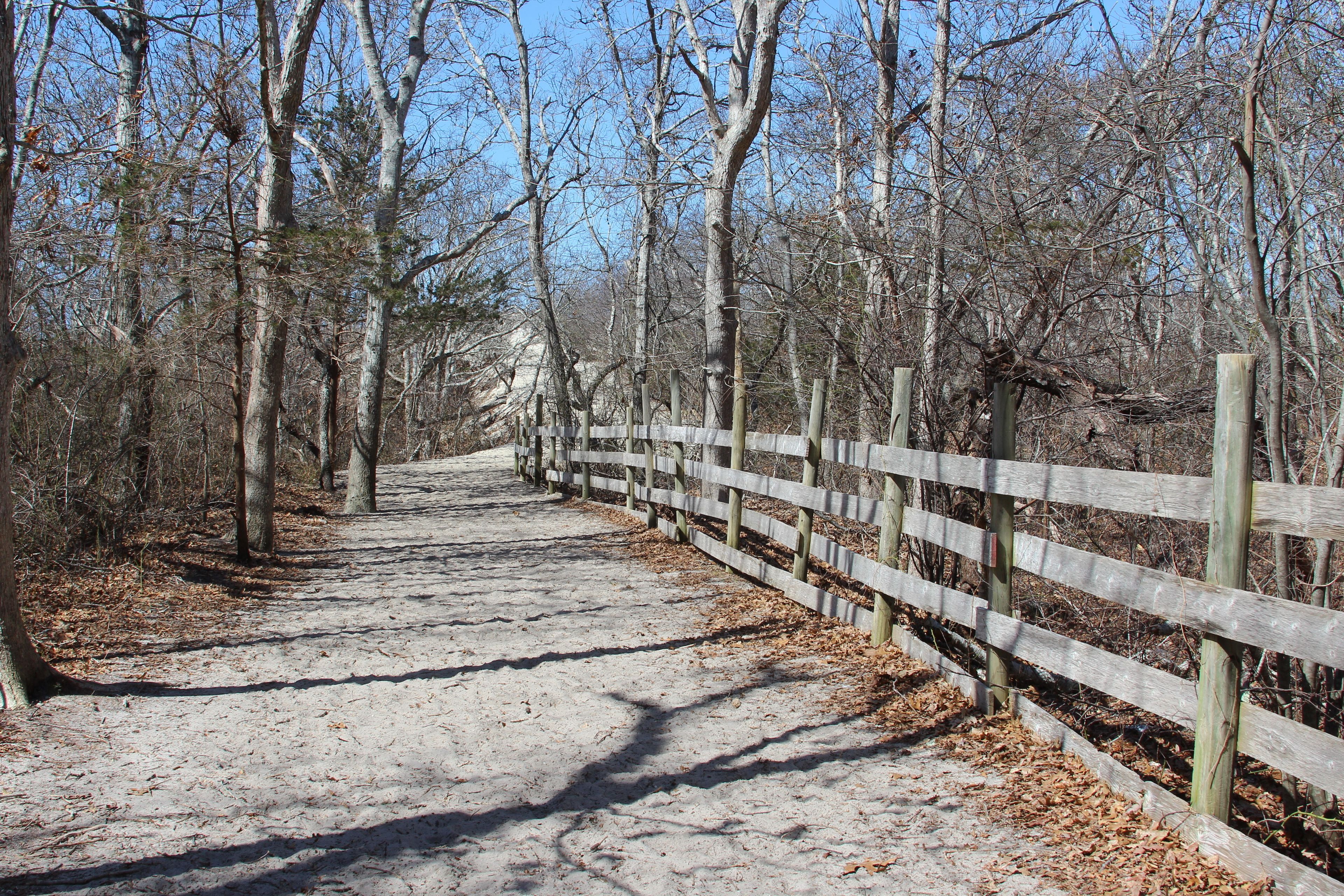 sandy trail to beach