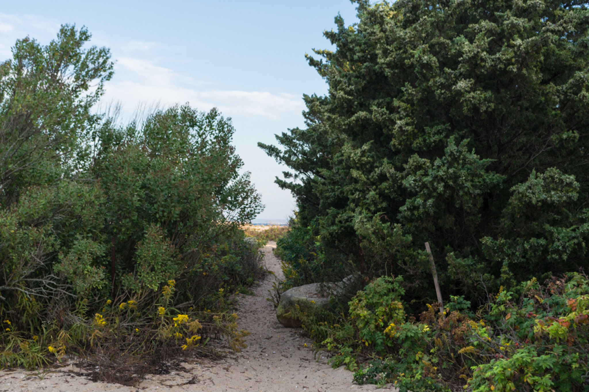 path to beach