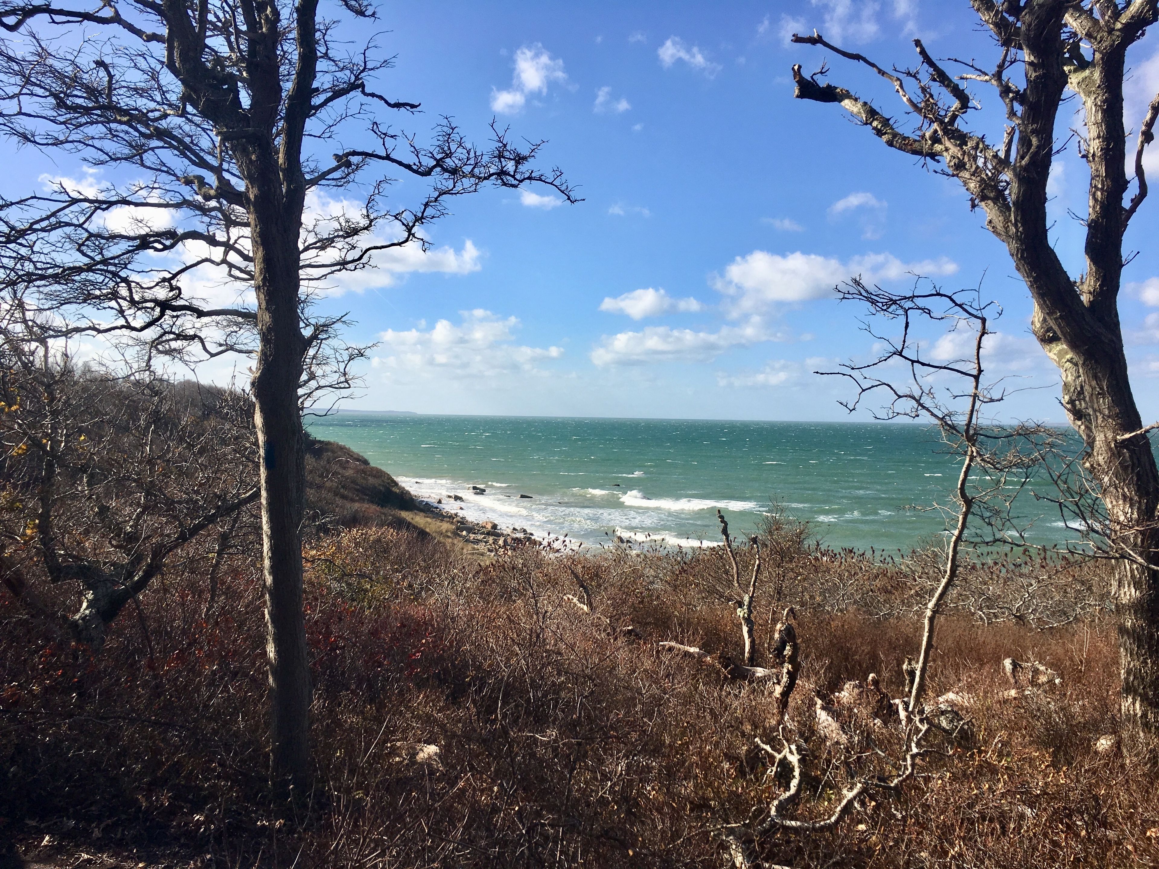 view of North shore