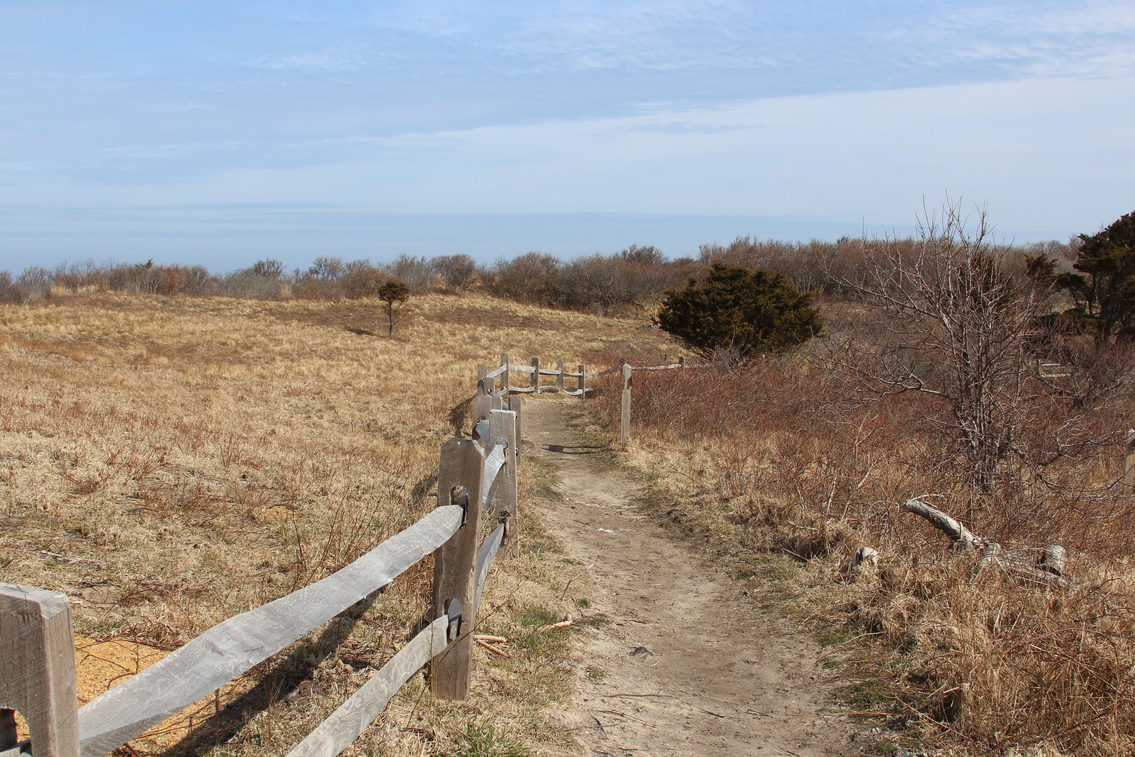 path towards lighthouse