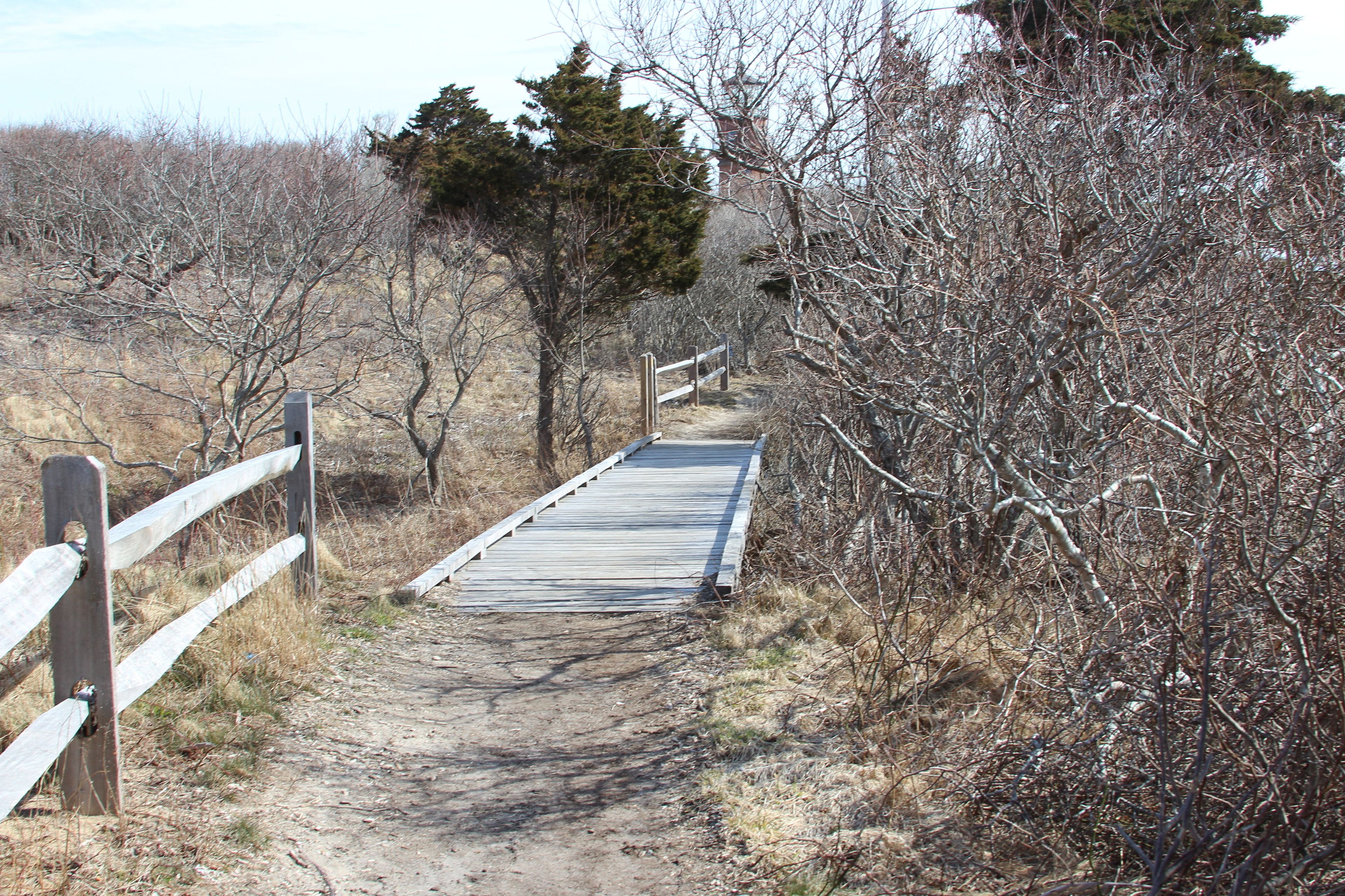 boardwalk along path