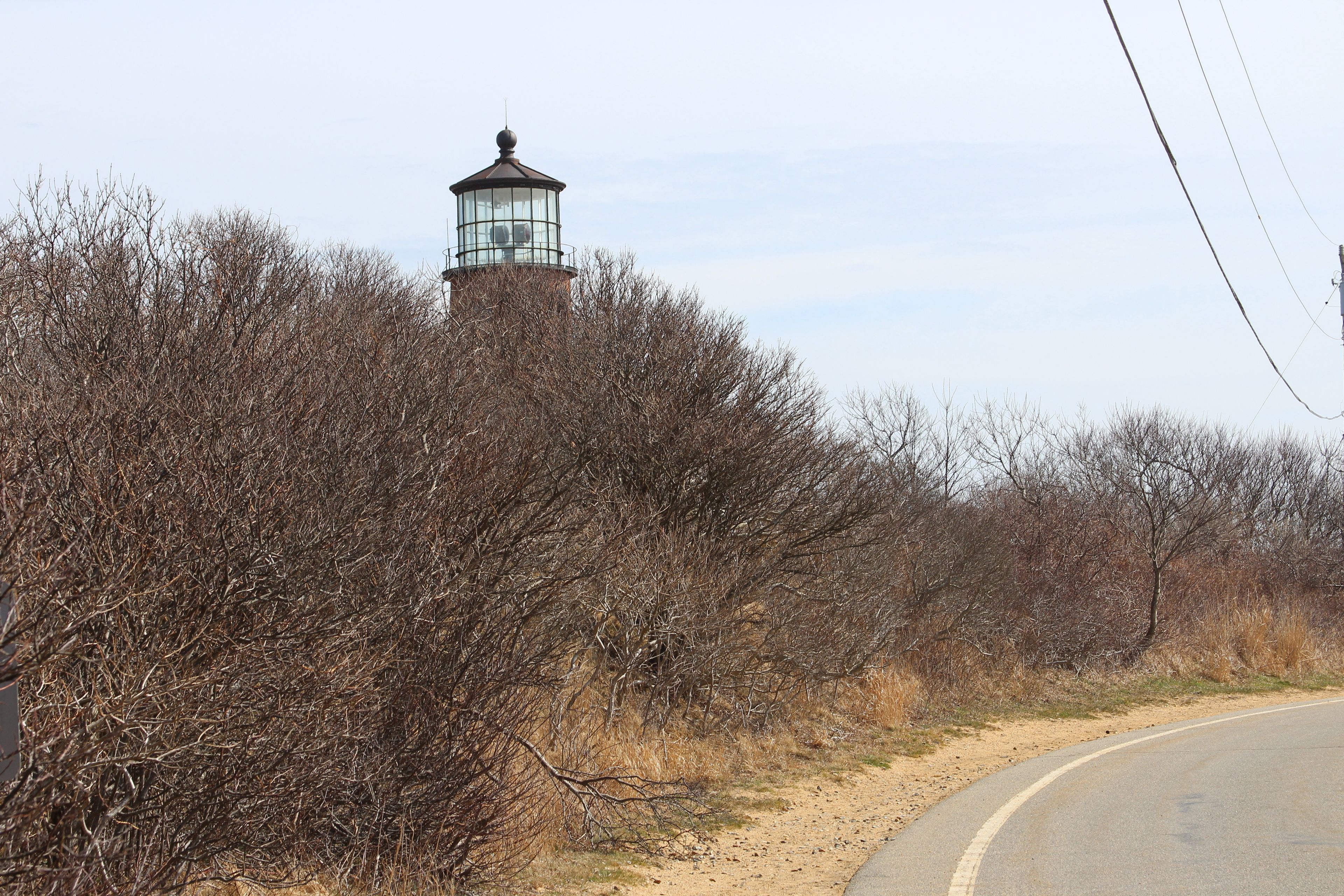 along road towards lighthouse