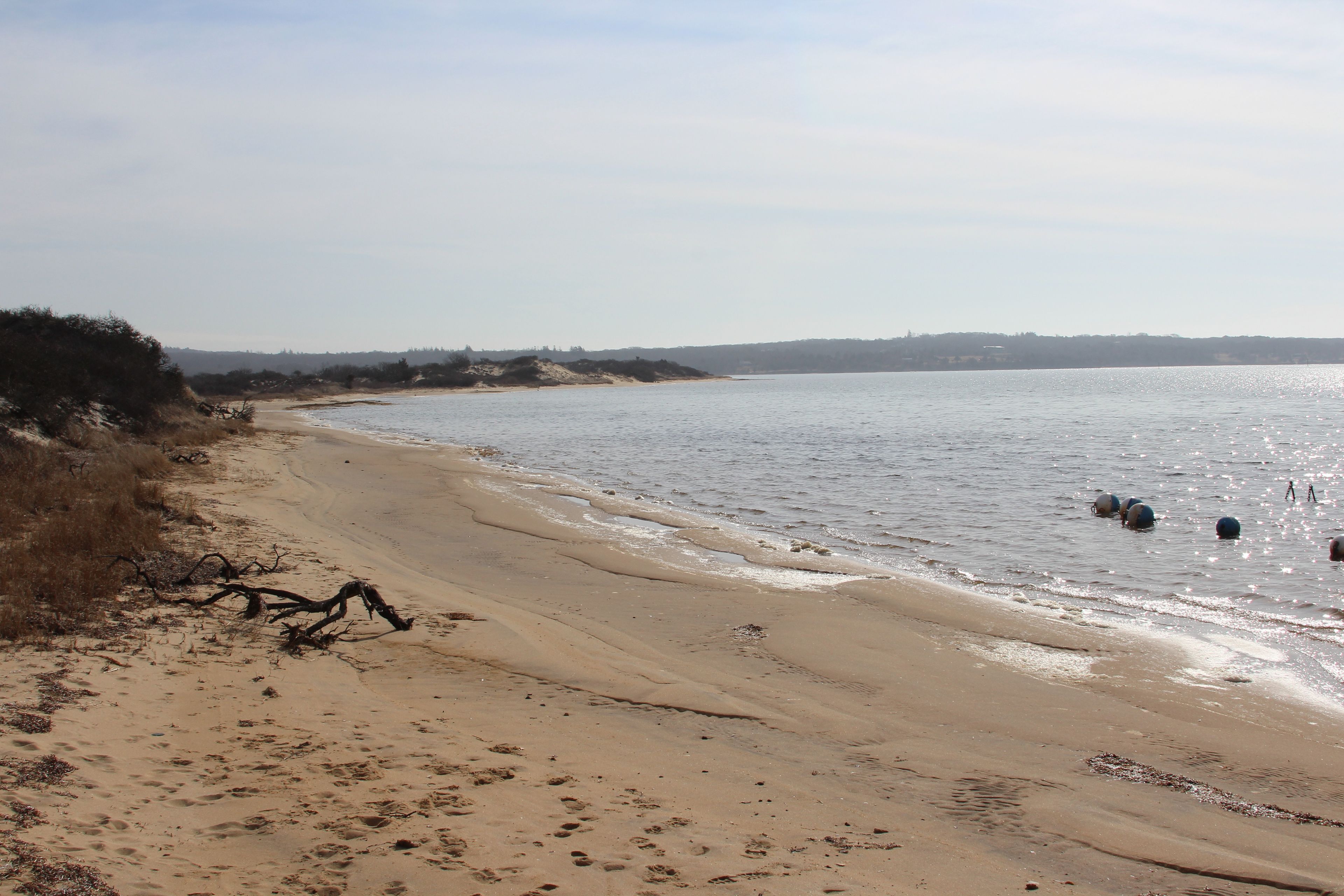 beginning of walk along Menemsha Pond