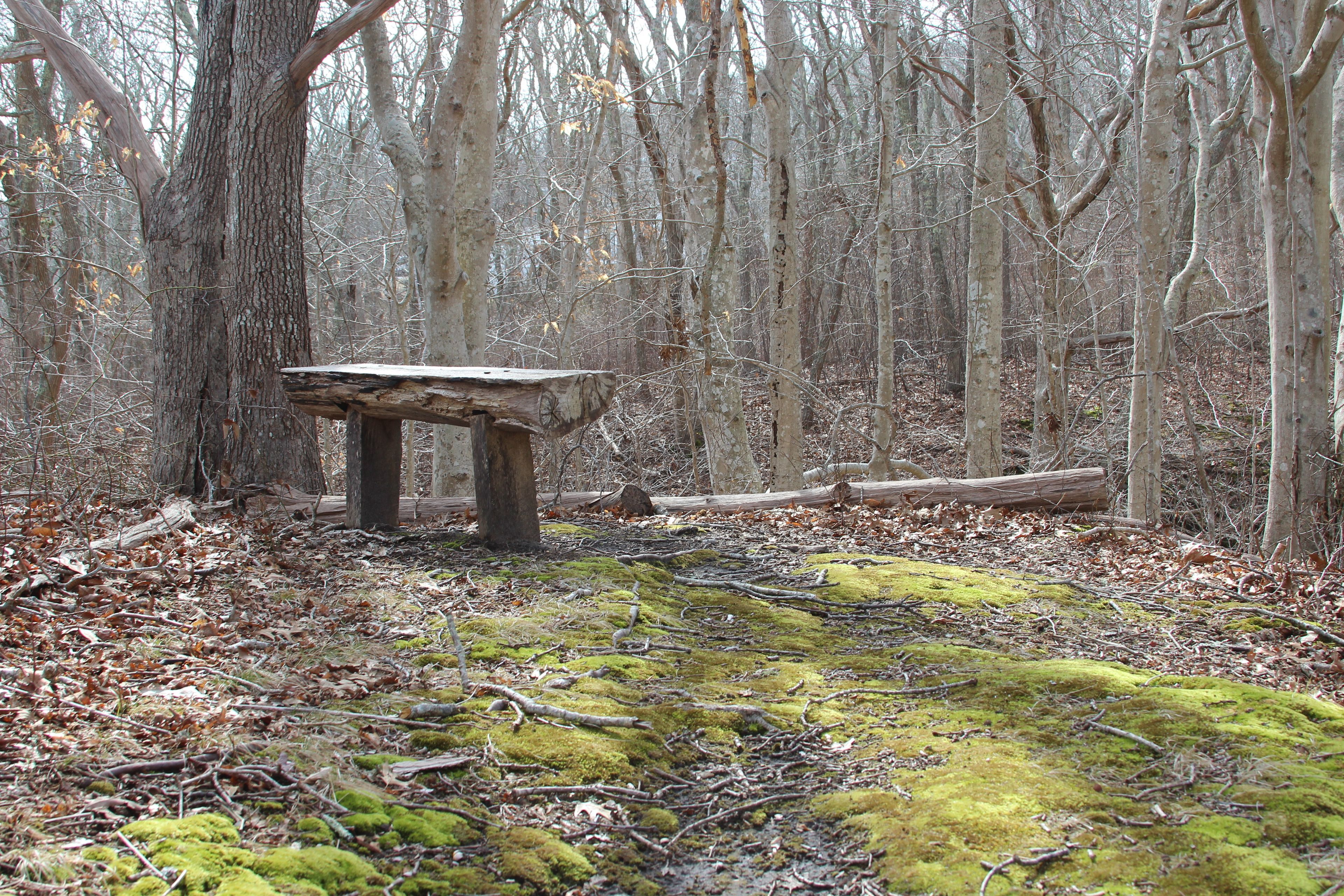 one of the benches