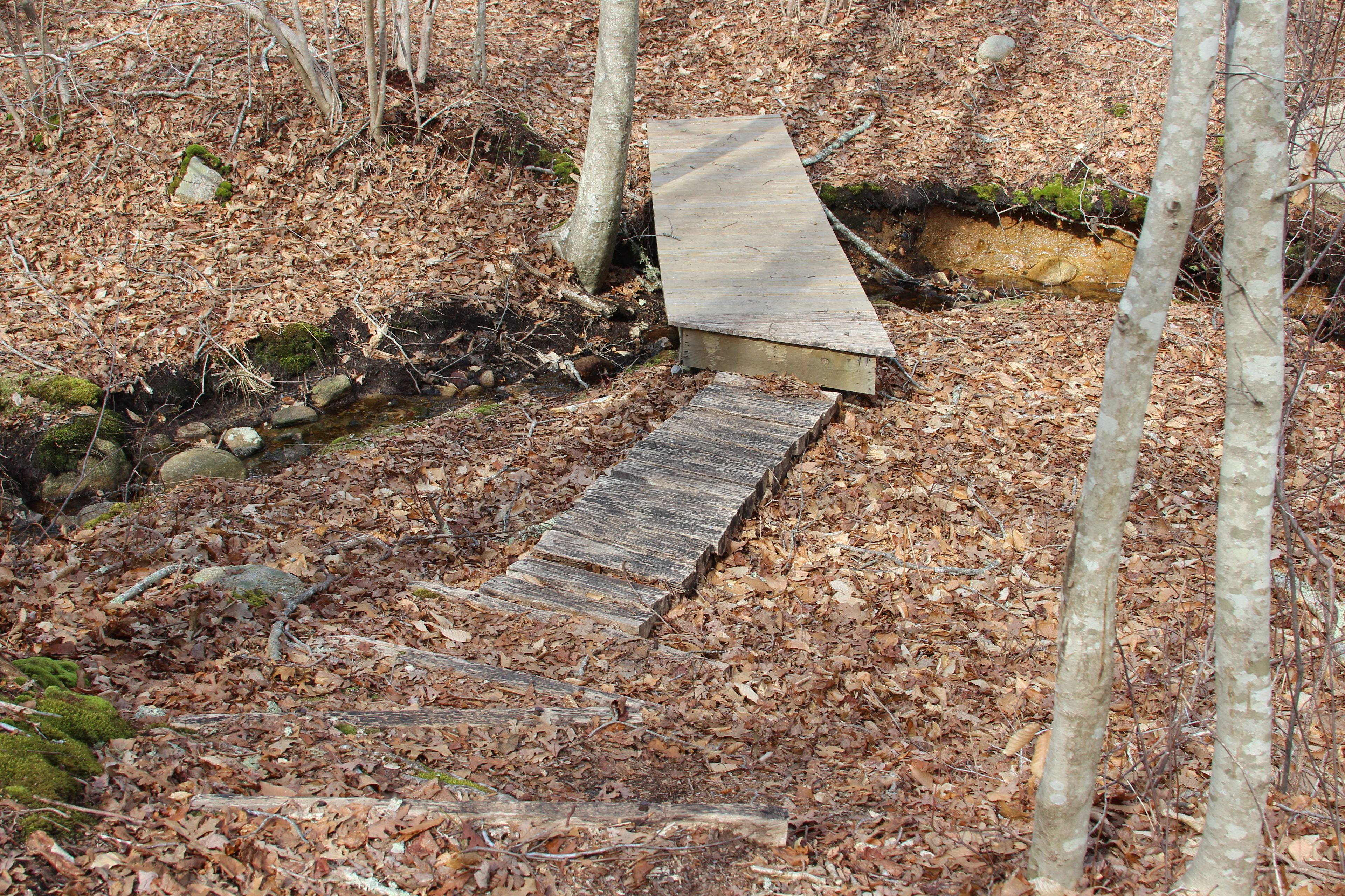 one of many boardwalks