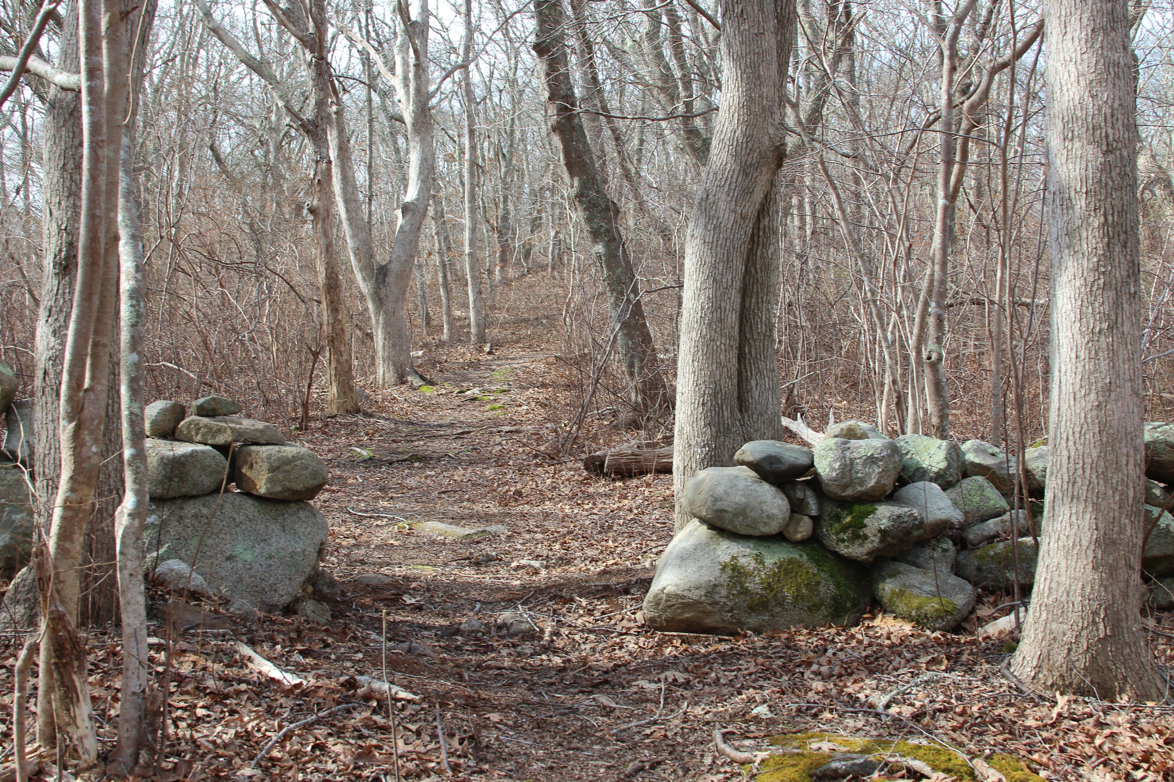 woods trail through stone walls