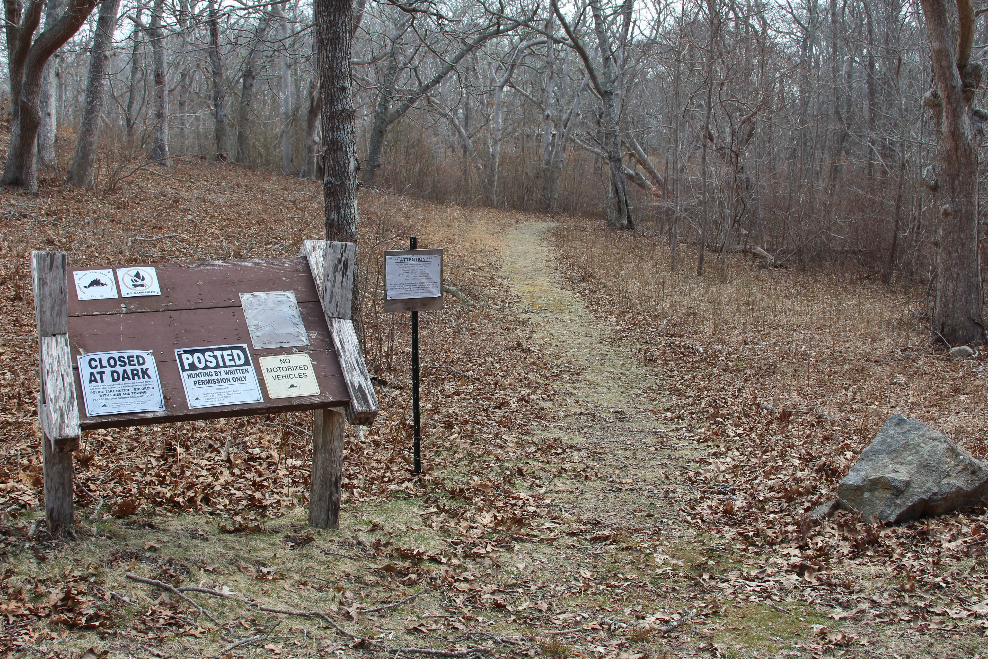 trailhead at parking area