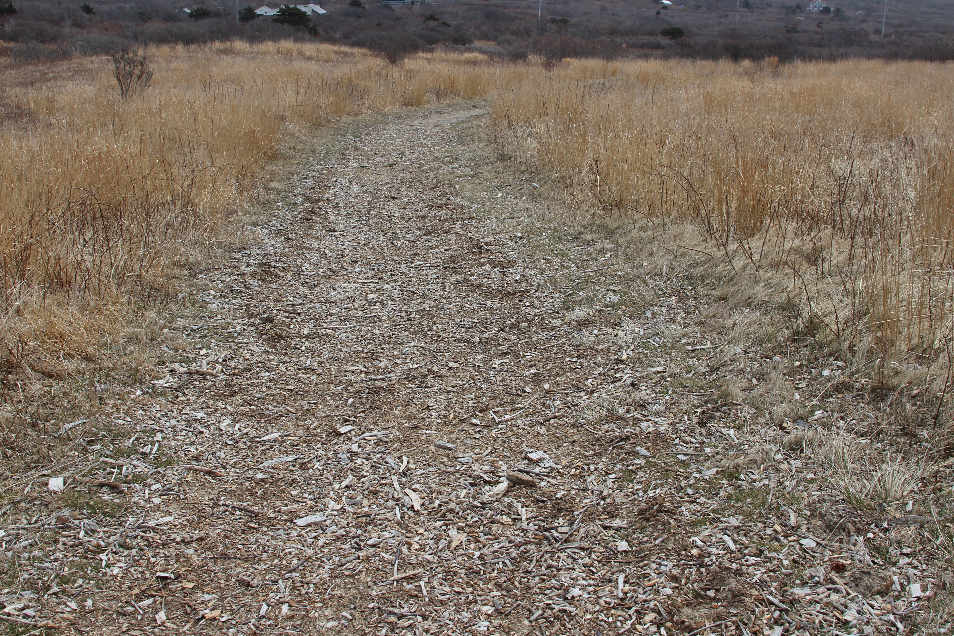 wood chip trail