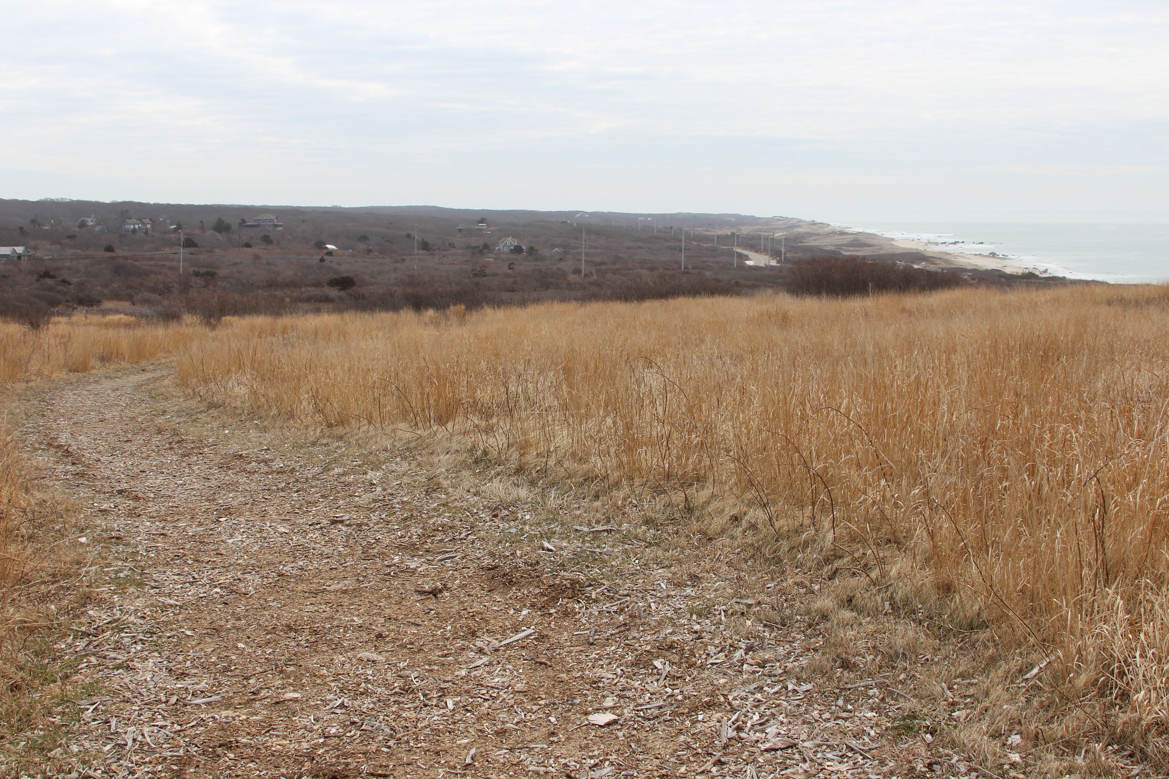 trail through open grassland