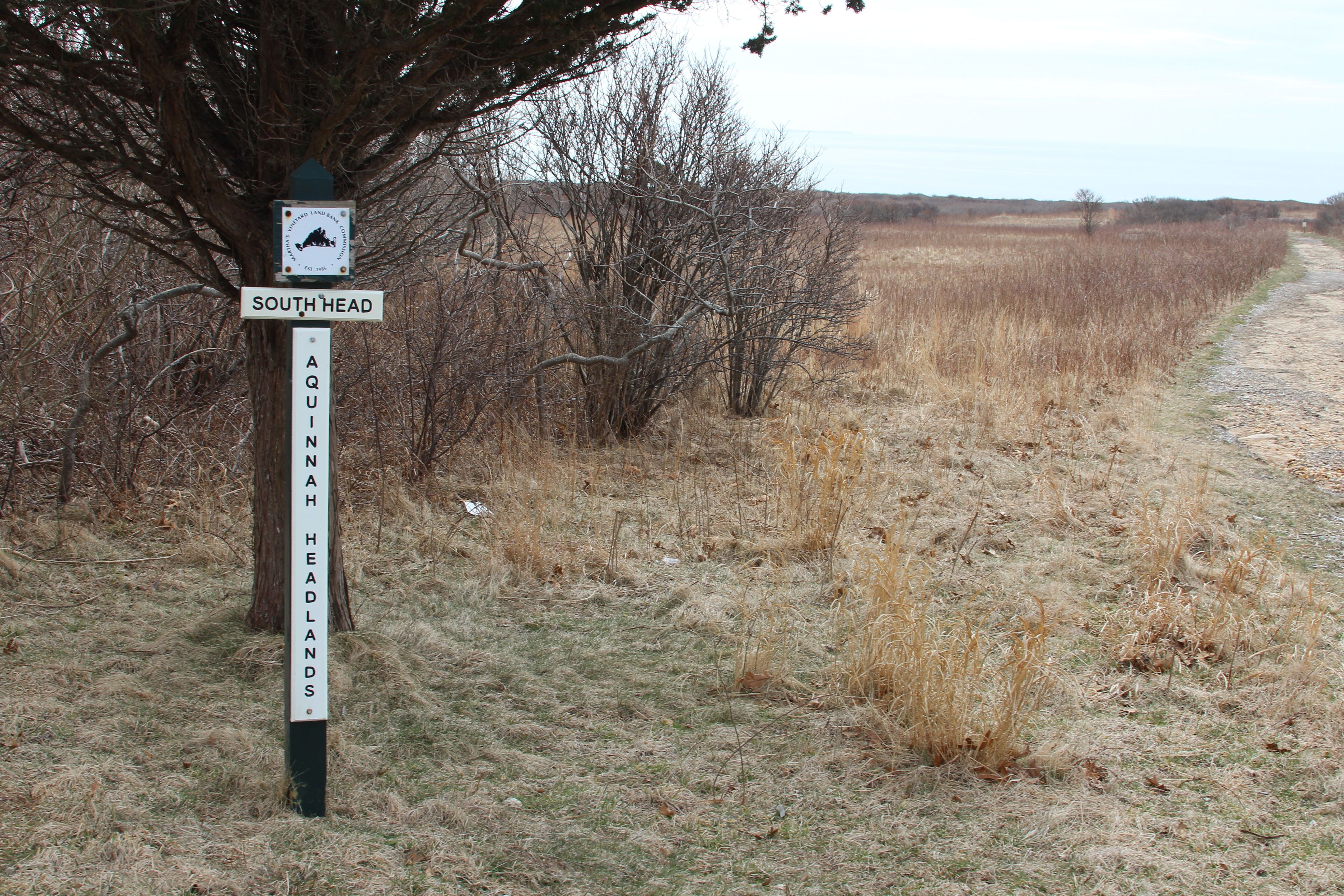 beginning of trail to Aquinnah Headlands and beach