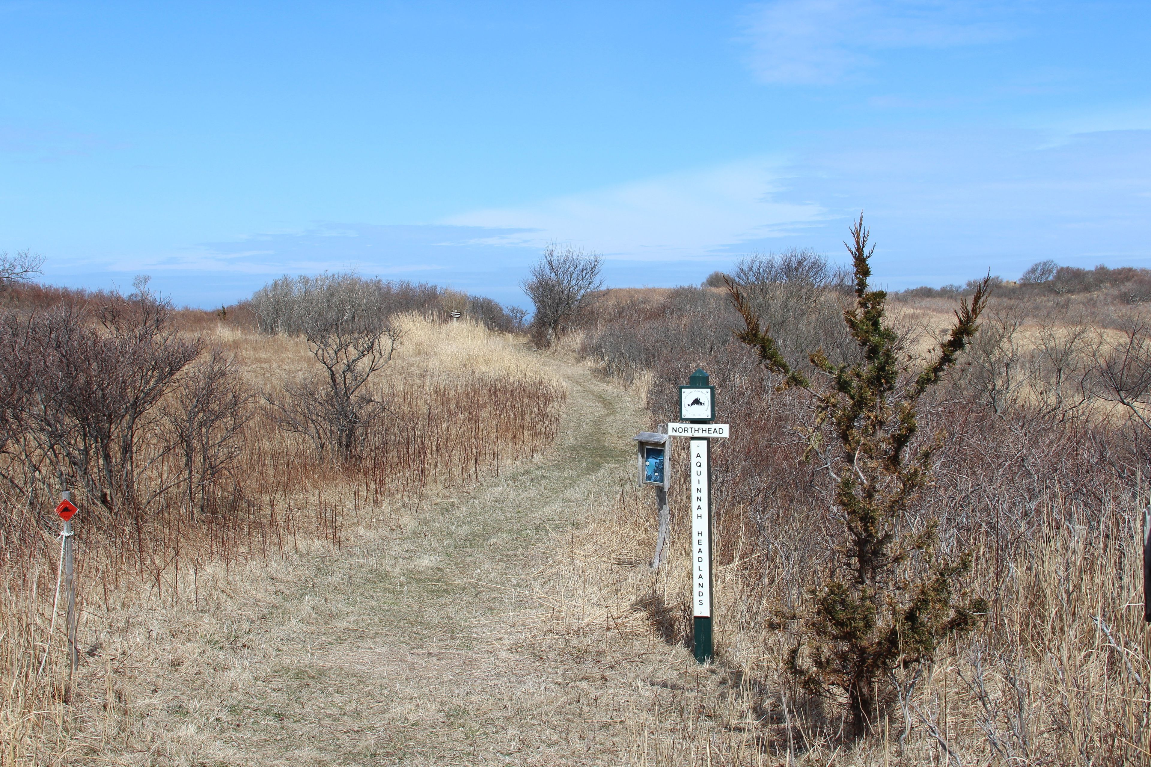 trailhead sign (in a ways from beginning of trail)