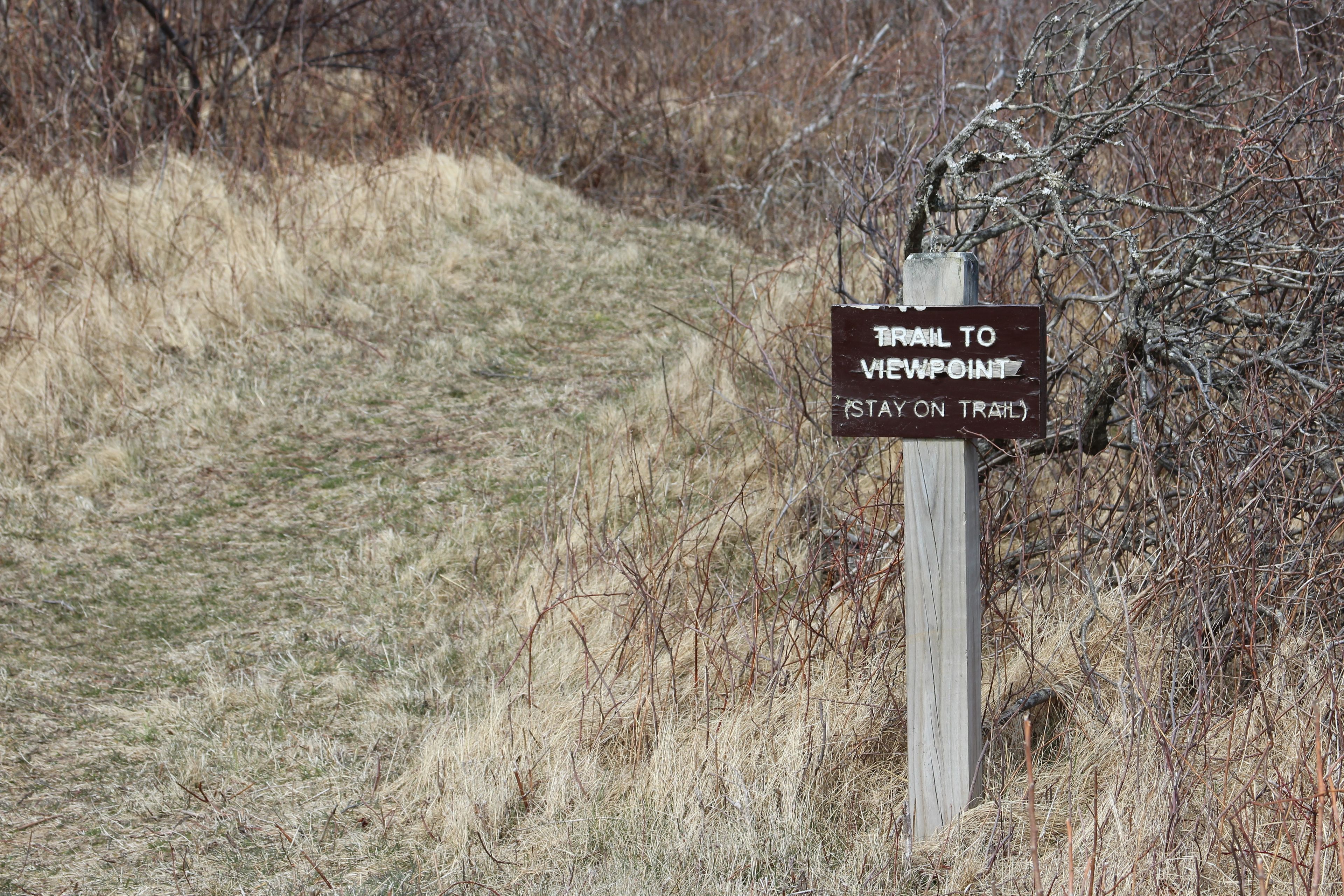 intersection with AHP-9 (loop trail)