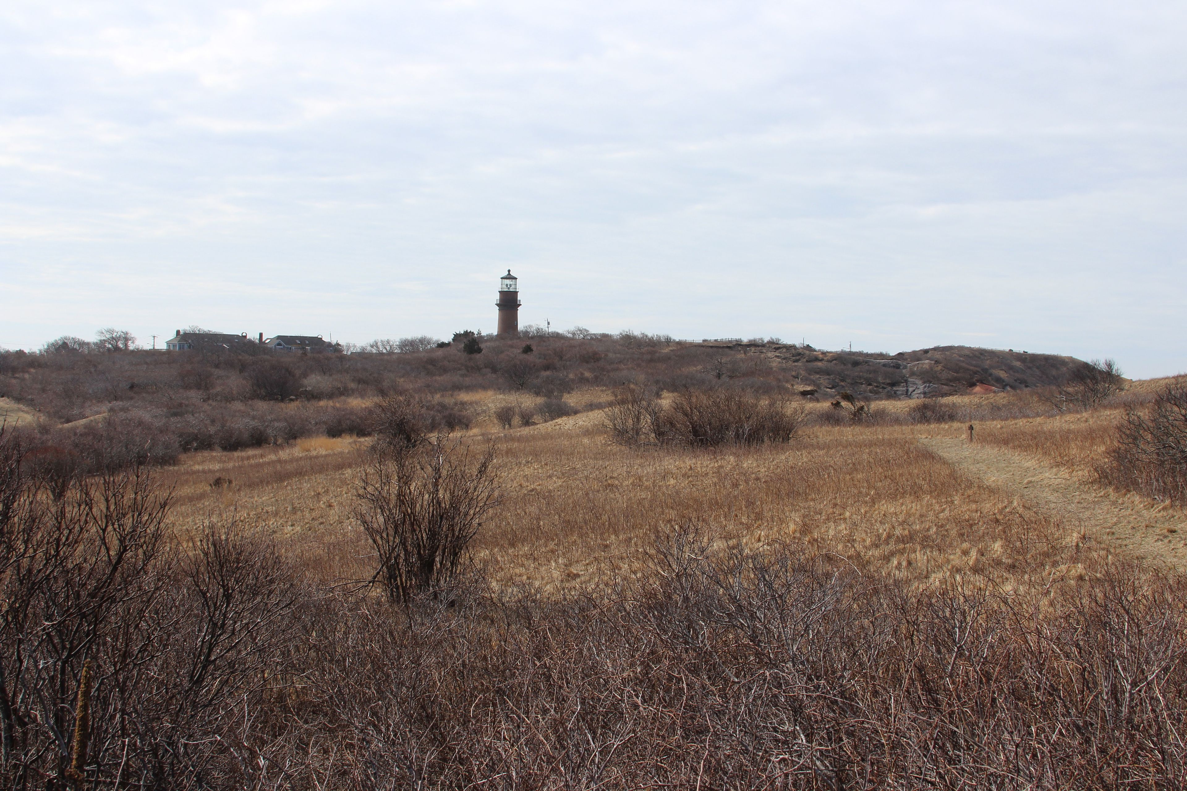 Gay Head Light in the distance