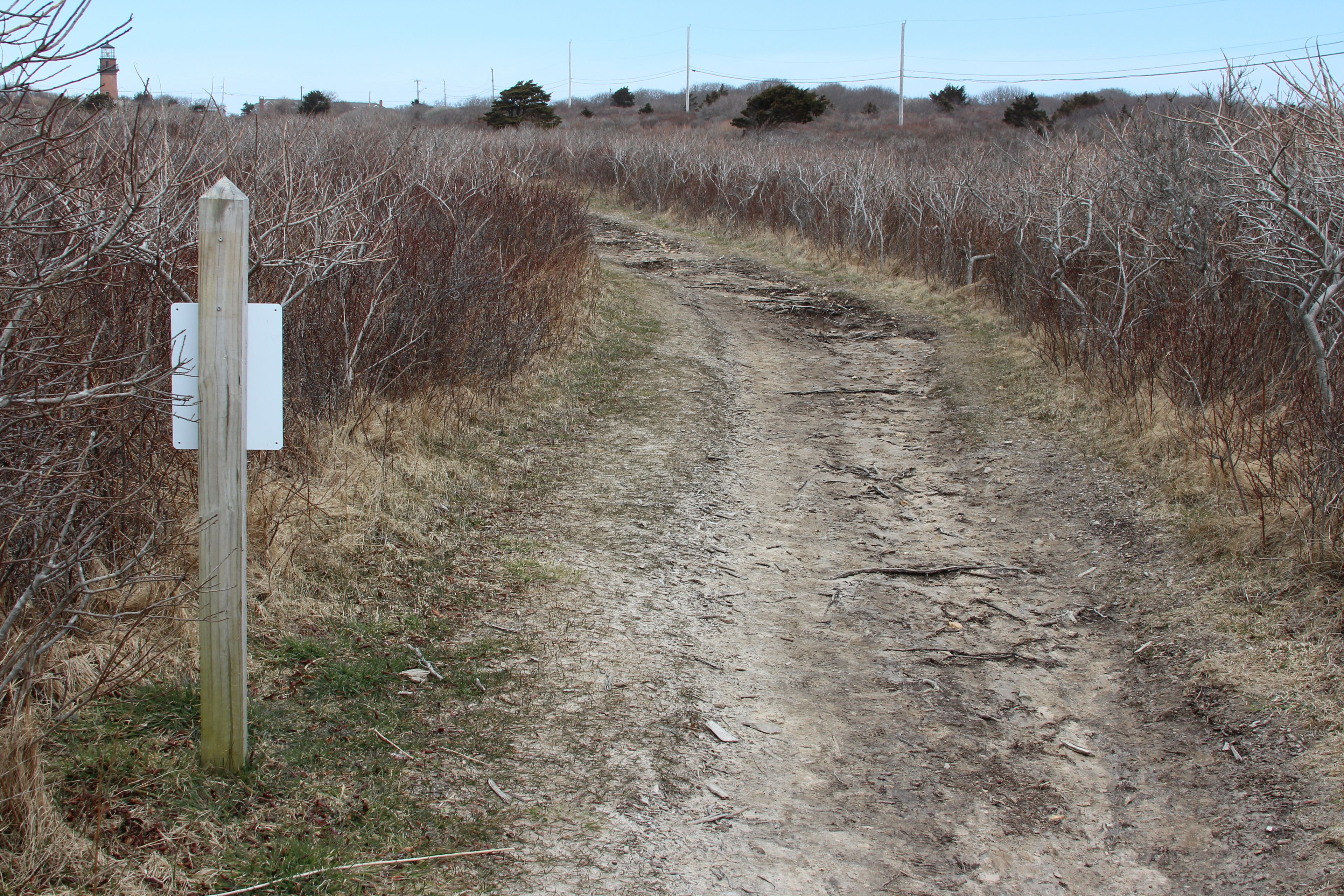 sand, stone trail