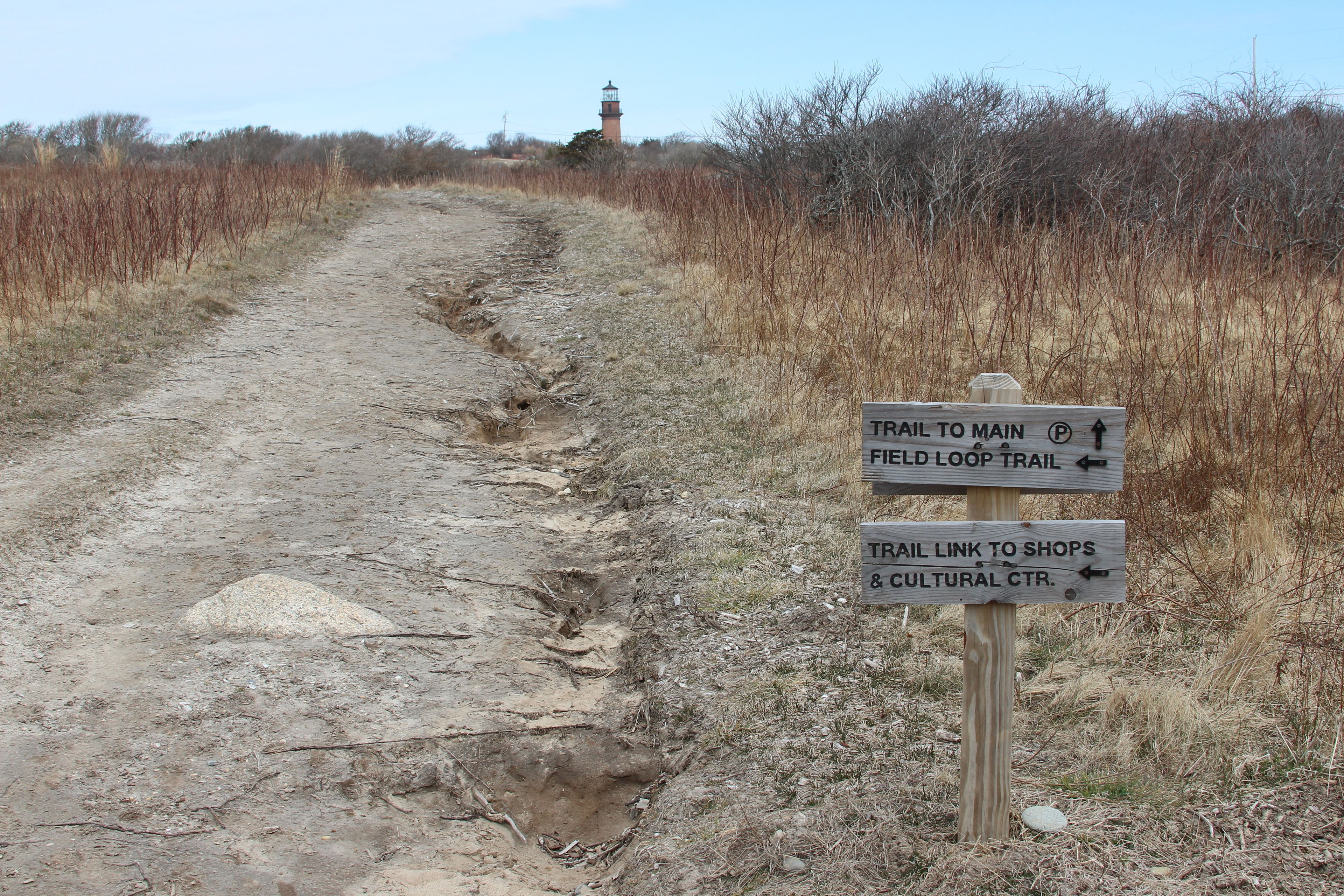 link to Aquinnah Headlands trails