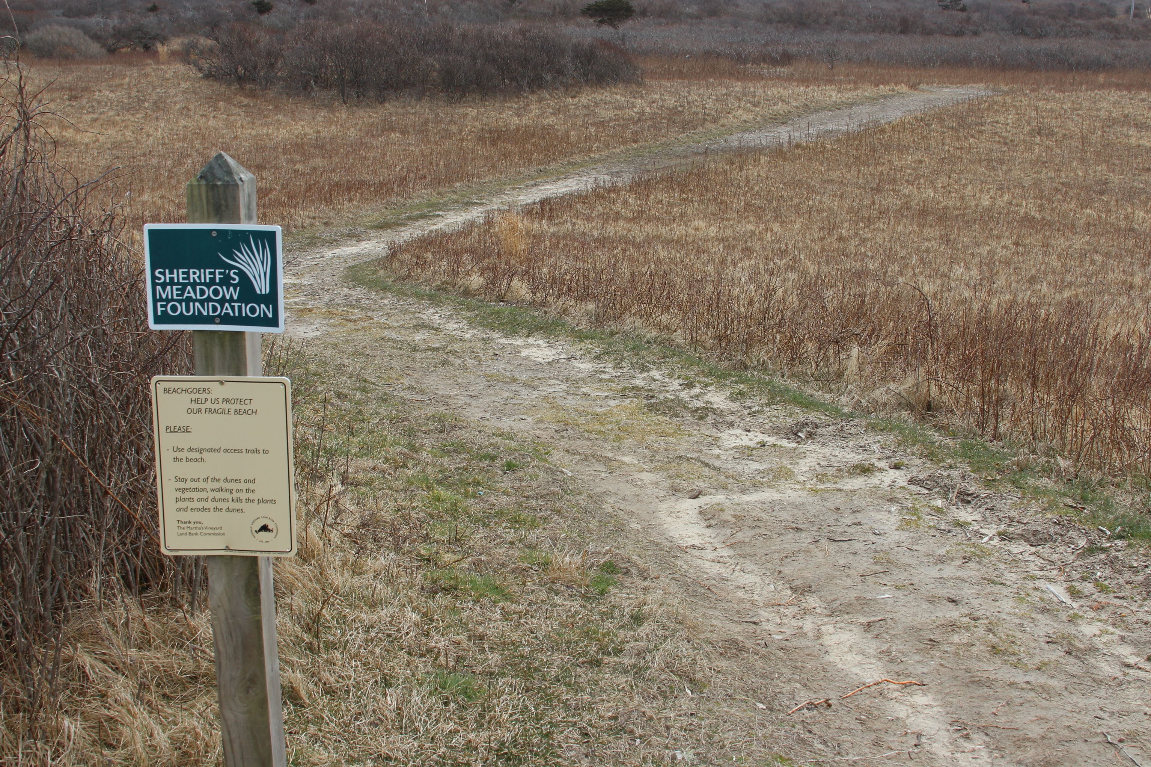 one edge of Wallen Preston Shands property