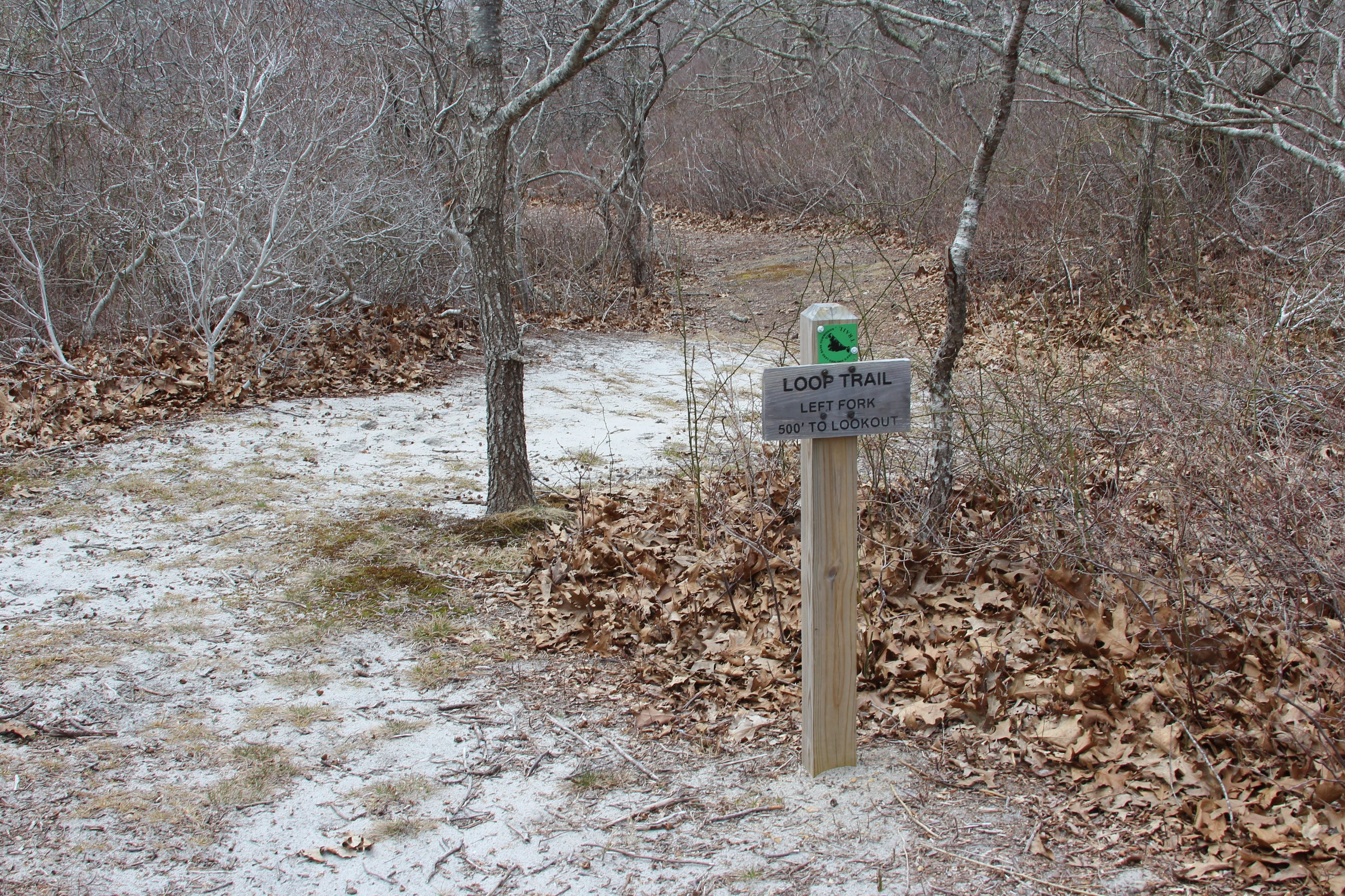 sandy trail