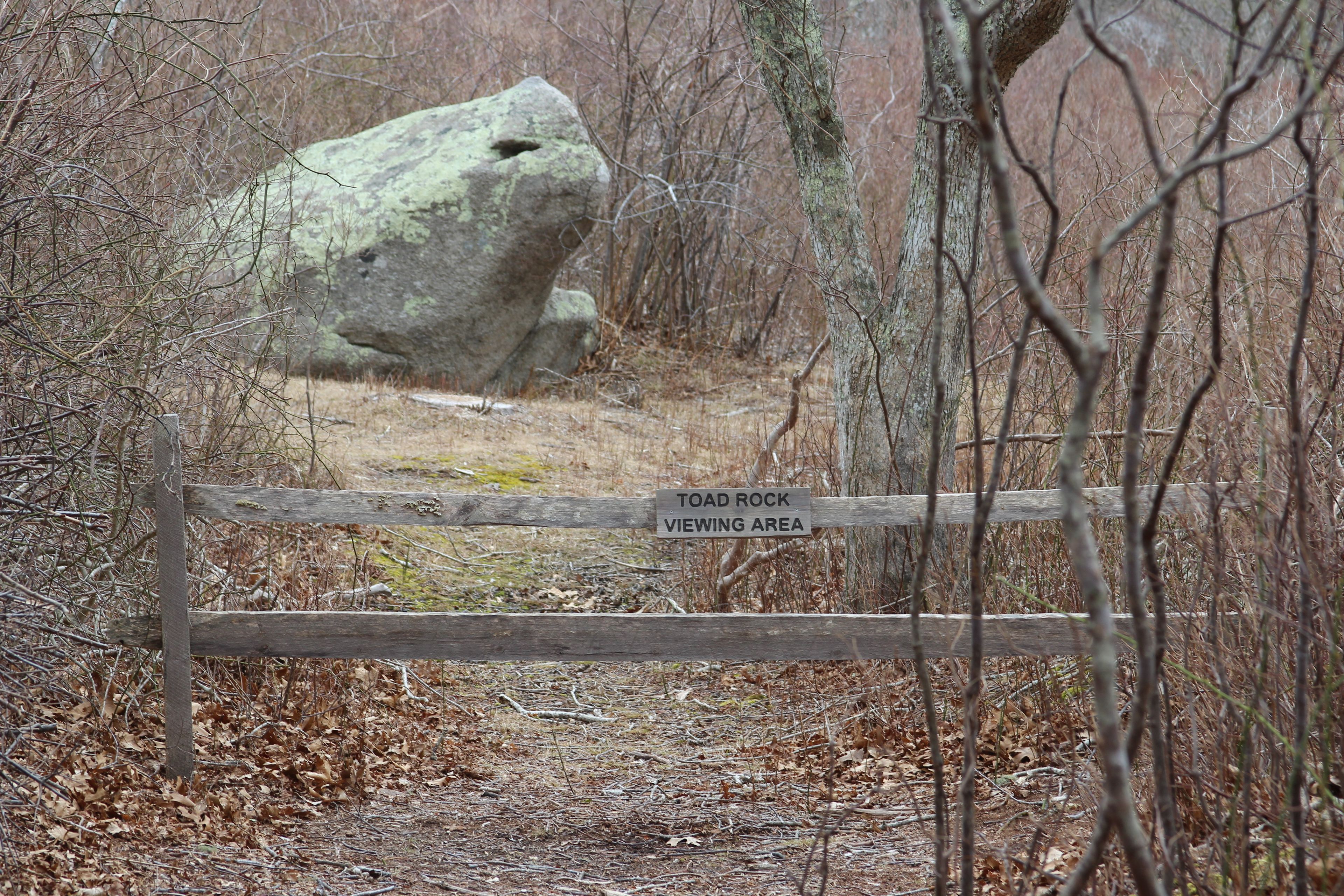 Toad Rock behind barrier