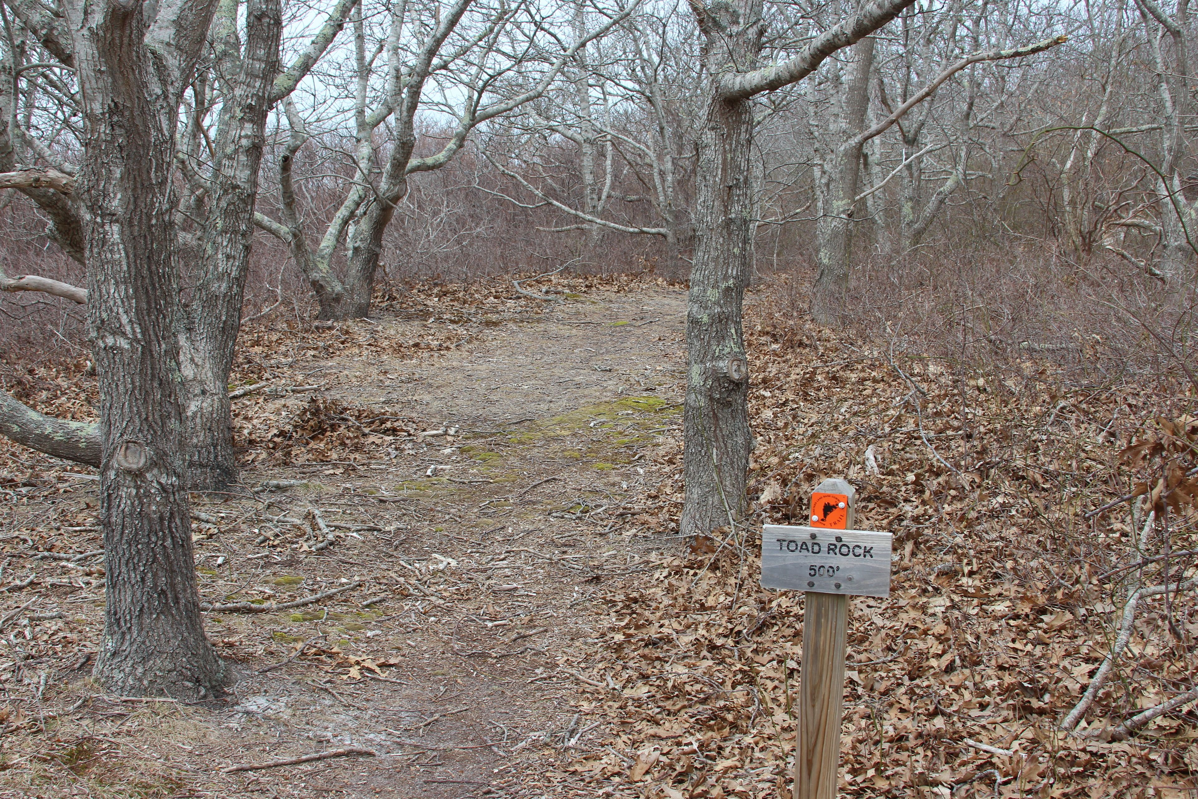 trail to Toad Rock