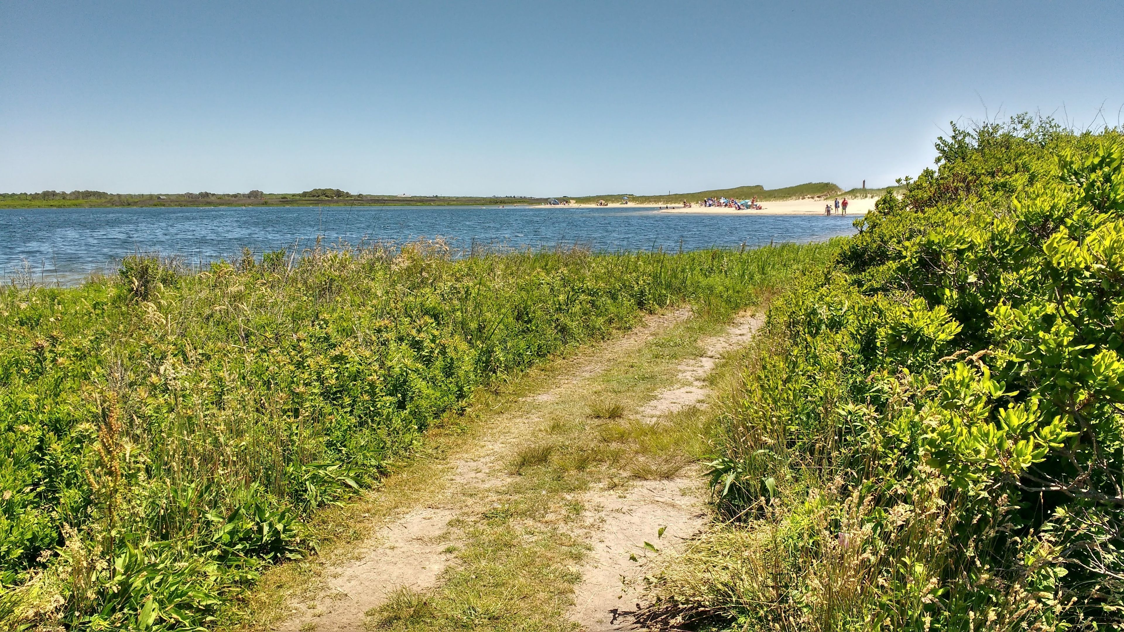 path along pond